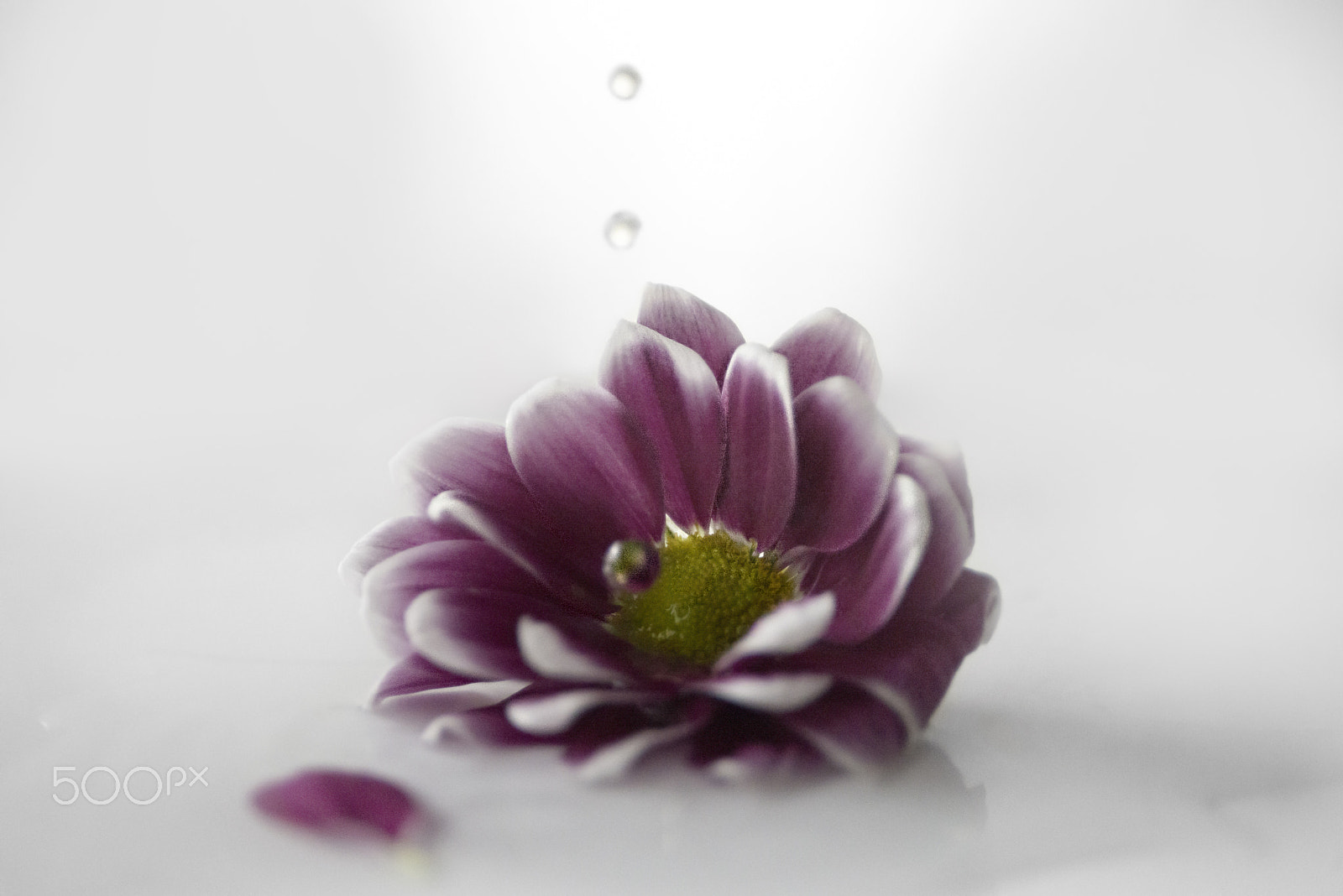 Nikon D600 sample photo. Dropping into colour photography