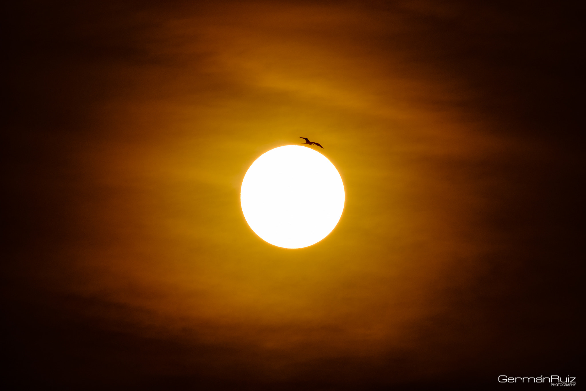 Fujifilm XF 100-400mm F4.5-5.6 R LM OIS WR sample photo. Around the sun photography