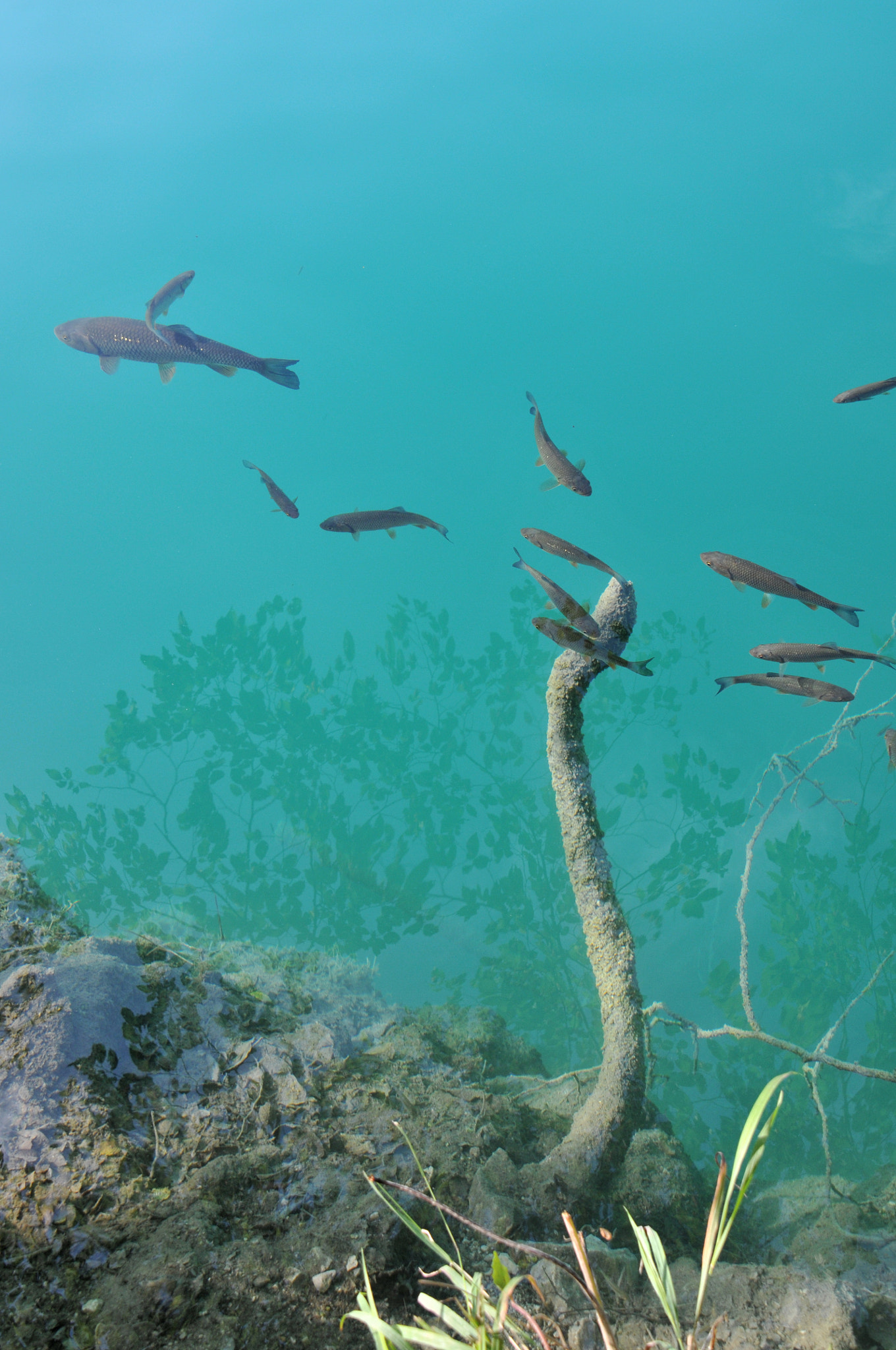 Nikon D300S sample photo. Plitvice 2 photography