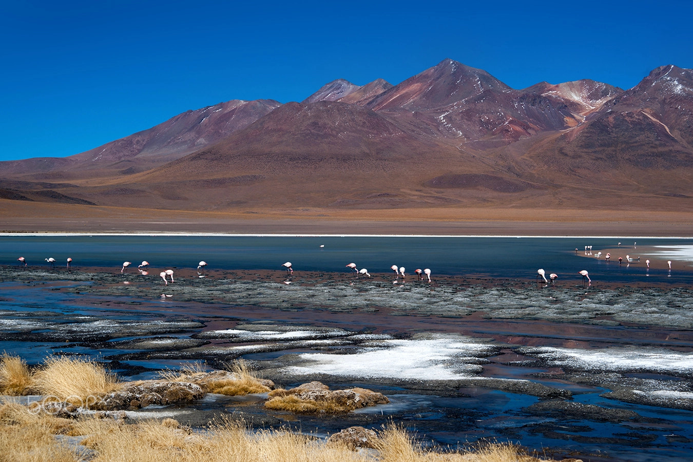 Sony Alpha DSLR-A900 + 35-70mm F4 sample photo. Laguna cañapa (4) photography