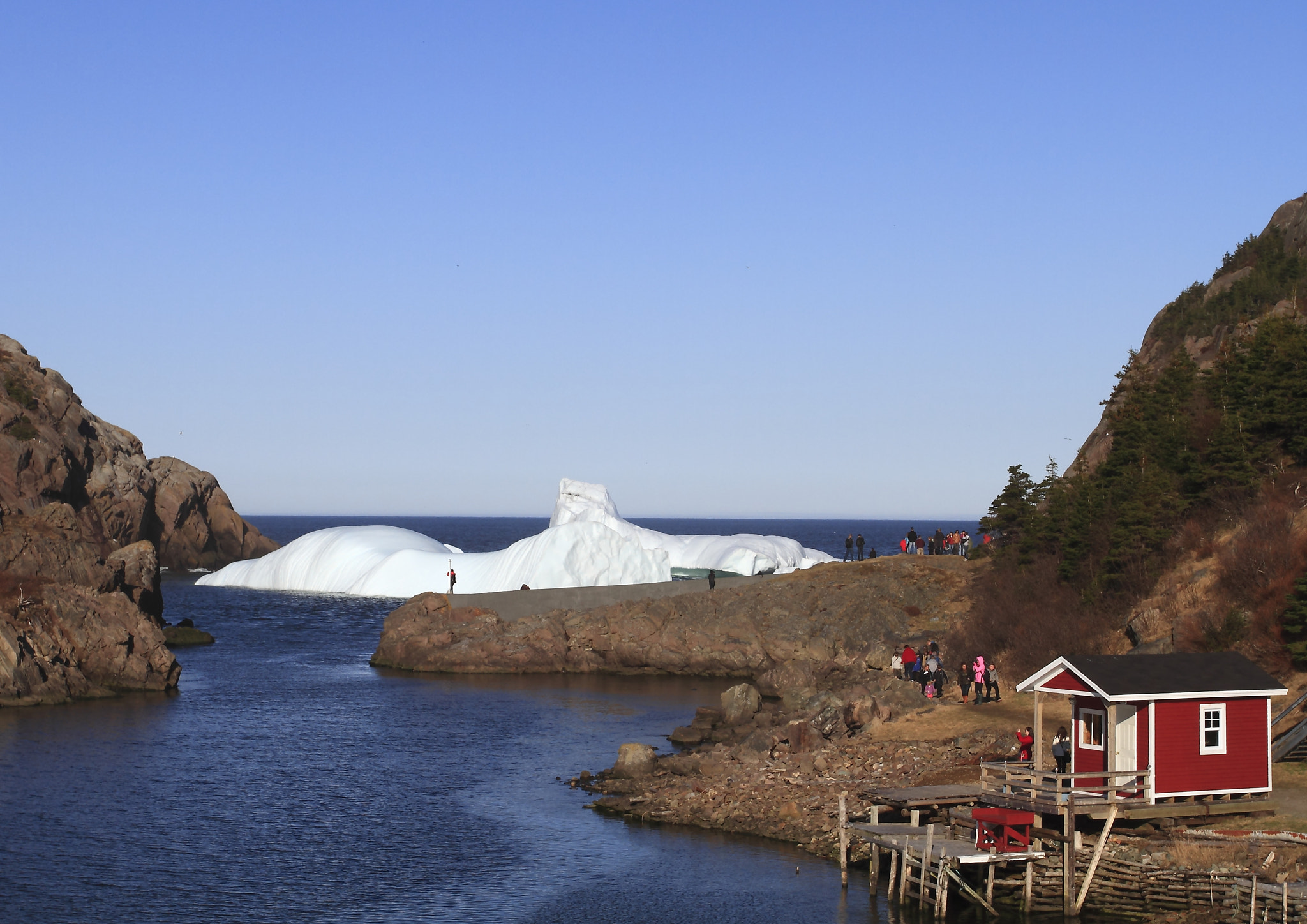 Canon EF 17-40mm F4L USM sample photo. Iceberg visitors photography