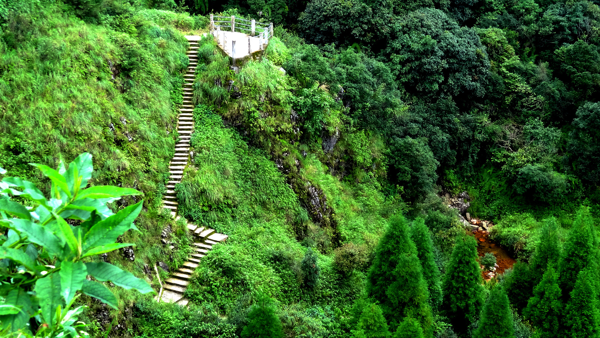 Sony Cyber-shot DSC-HX7V sample photo. Garden with stairs photography