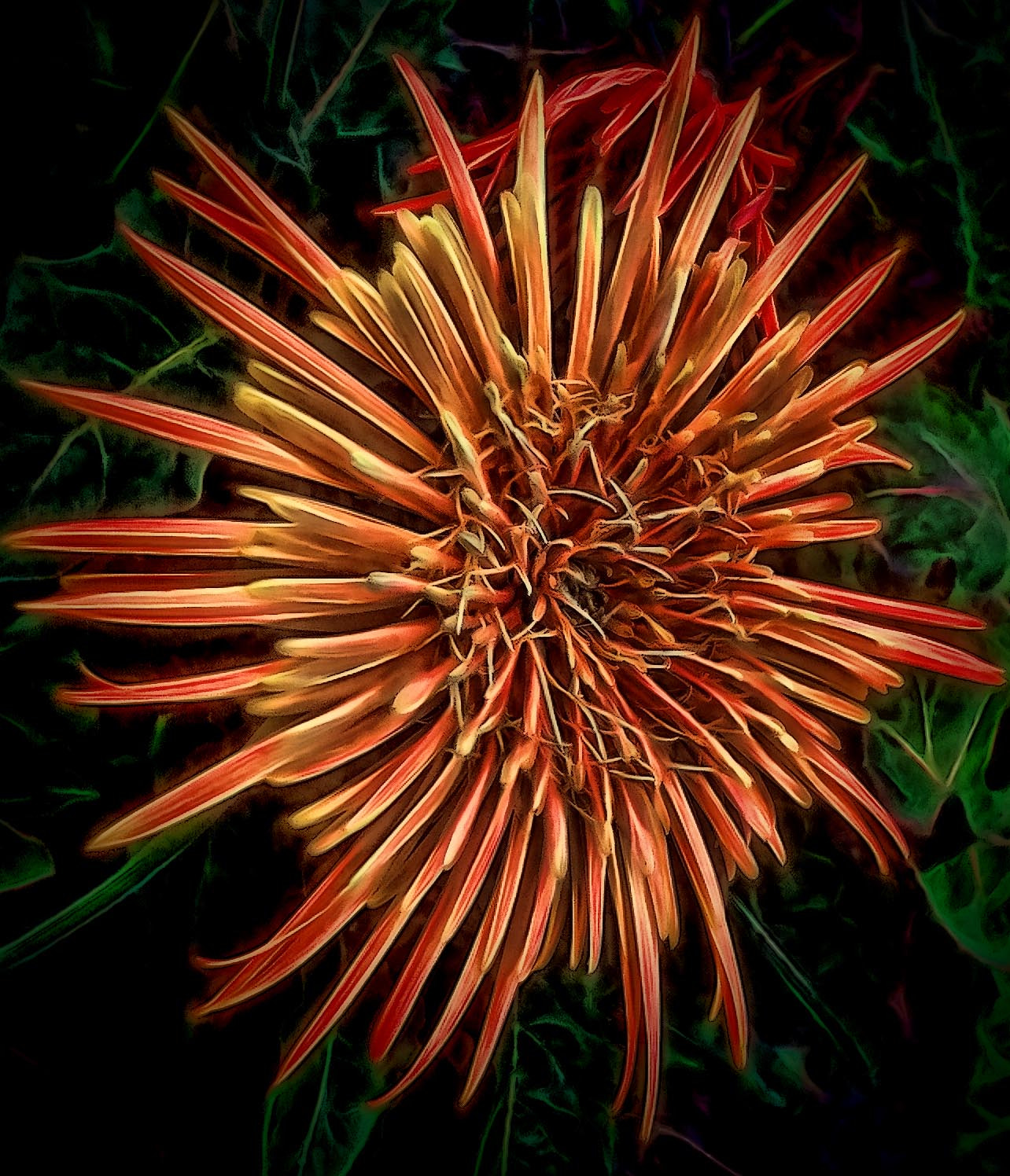Samsung Galaxy Trend Plus sample photo. Flower photography