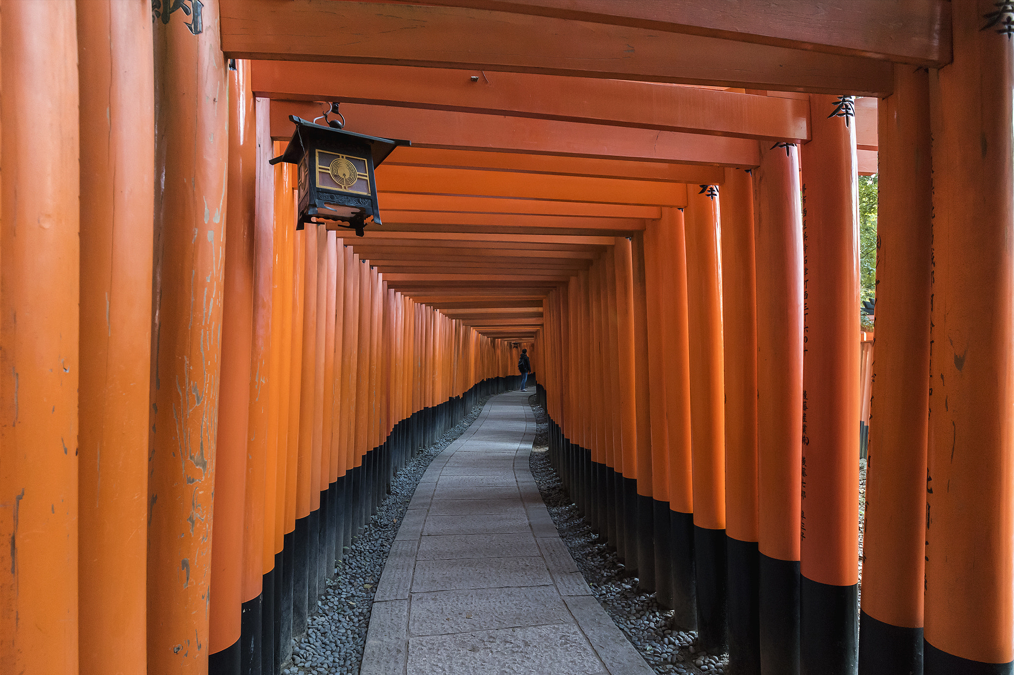 Sigma 12-24mm F4.5-5.6 II DG HSM sample photo. The vermillion tunnel photography