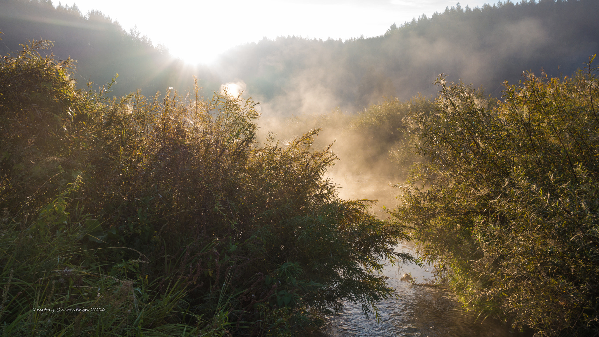 Samsung NX1000 + Samsung NX 20-50mm F3.5-5.6 ED sample photo. Morning fog on kamyshenka river photography