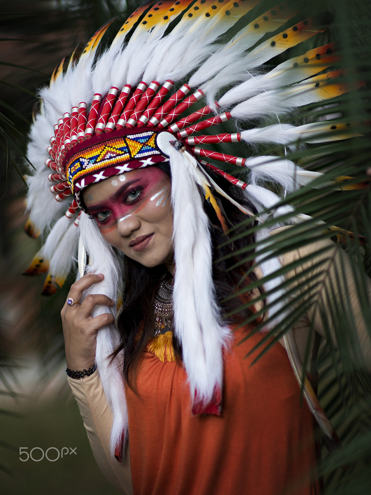 Nikon D800E + Sigma 85mm F1.4 EX DG HSM sample photo. The red indian photography