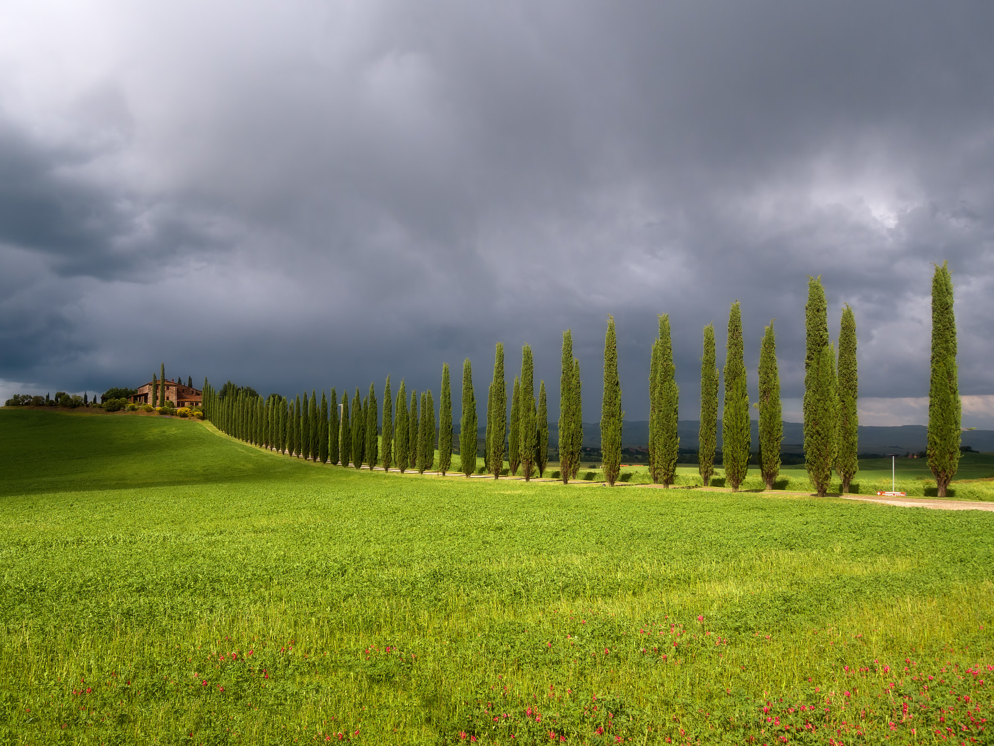 Olympus OM-D E-M5 II + OLYMPUS M.9-18mm F4.0-5.6 sample photo. Poggio covili - val d'orcia photography