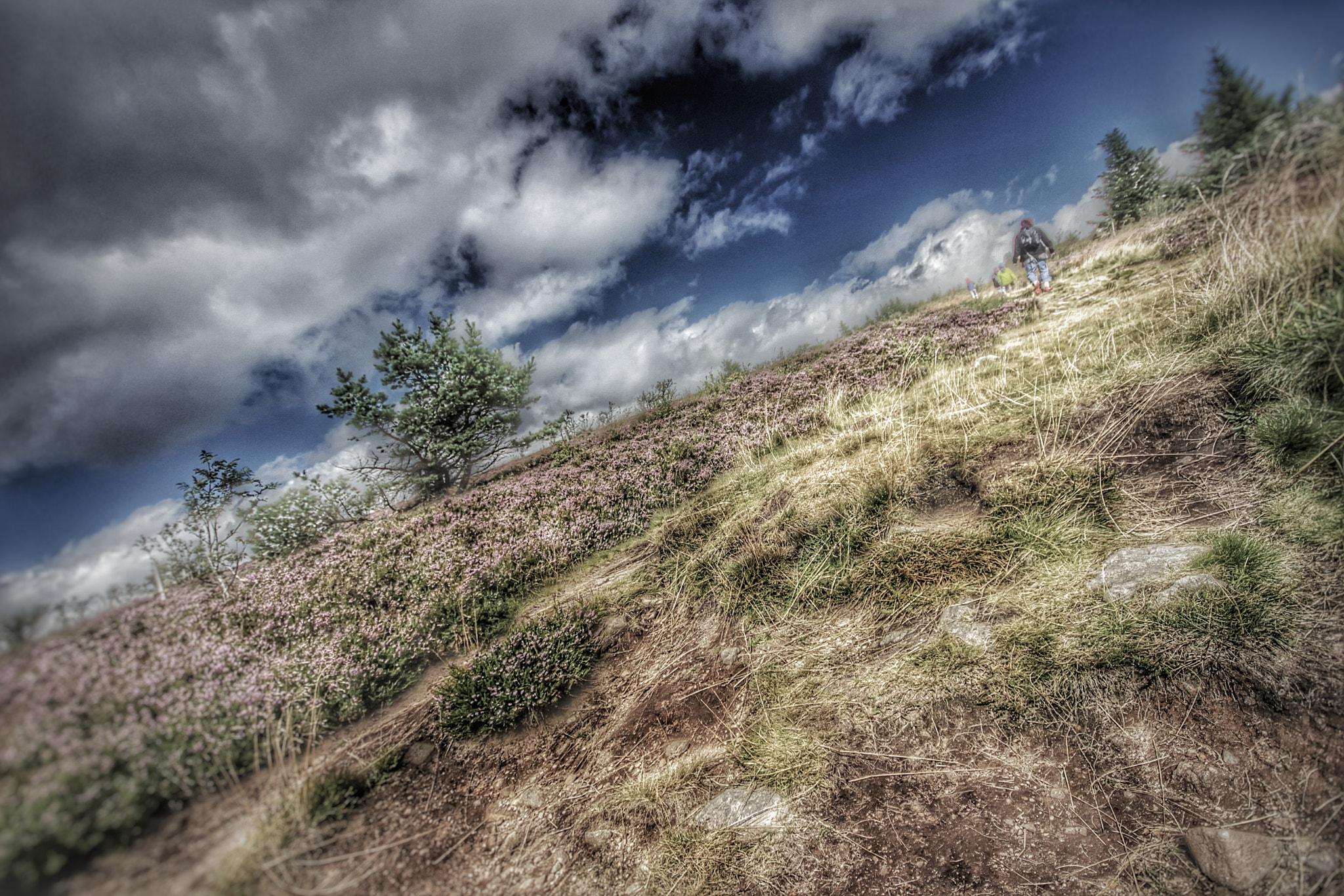 Canon 10-20mm sample photo. Altitude + 1400m photography