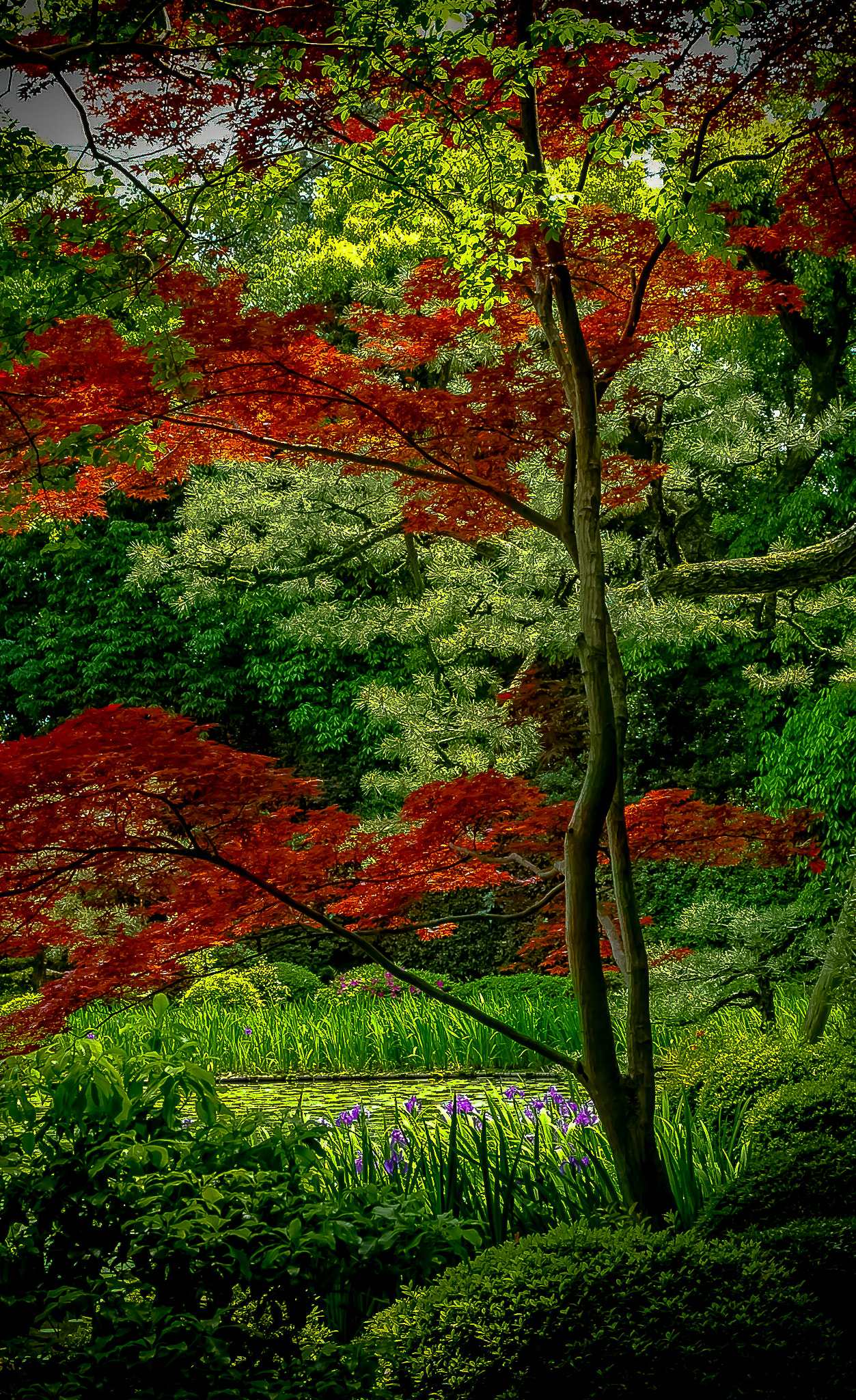 AF Zoom-Nikkor 28-105mm f/3.5-4.5D IF sample photo. Jardin zen photography