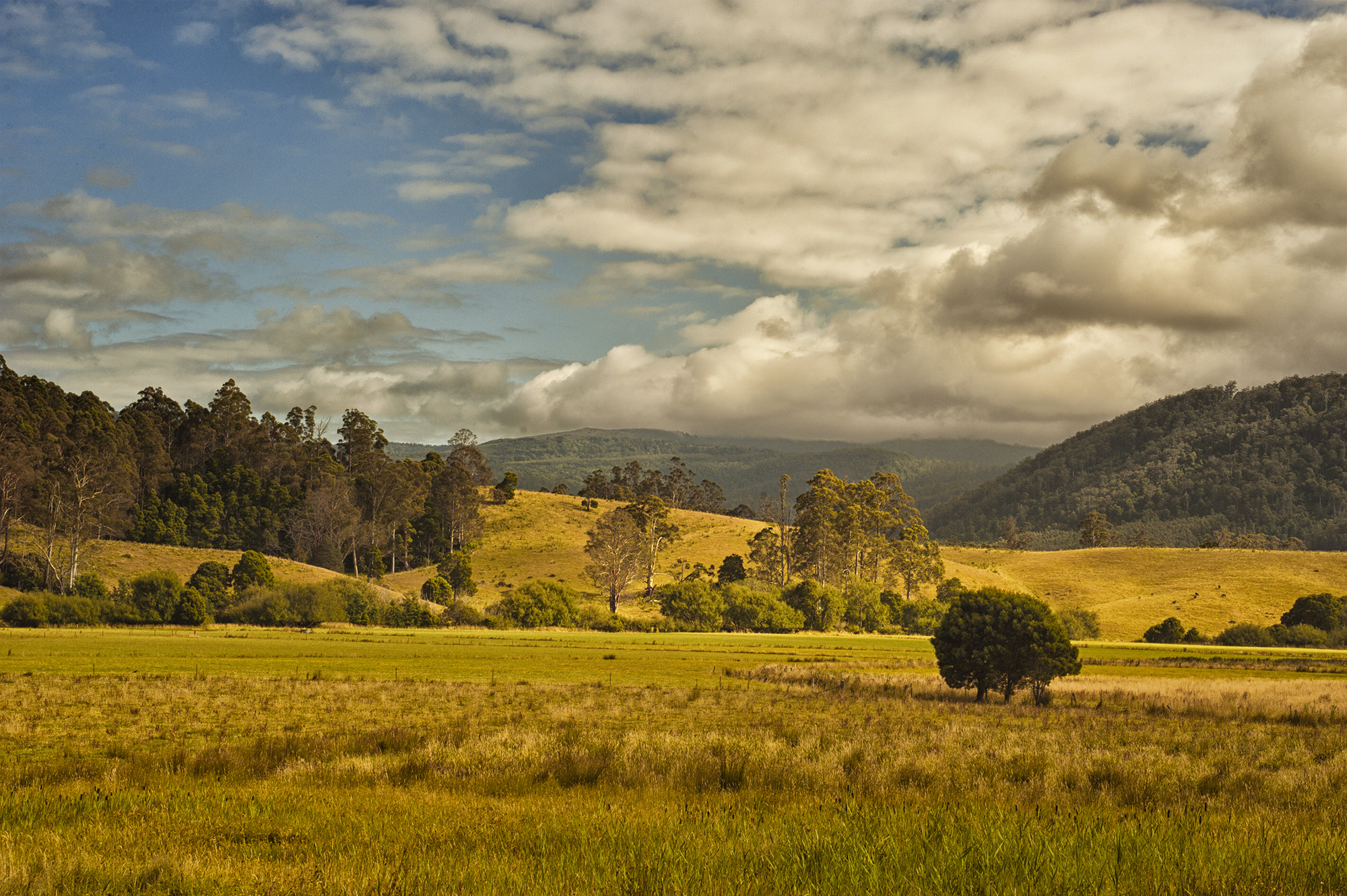 Nikon D700 + AF Zoom-Nikkor 35-70mm f/2.8 sample photo. Tasmania  australia photography