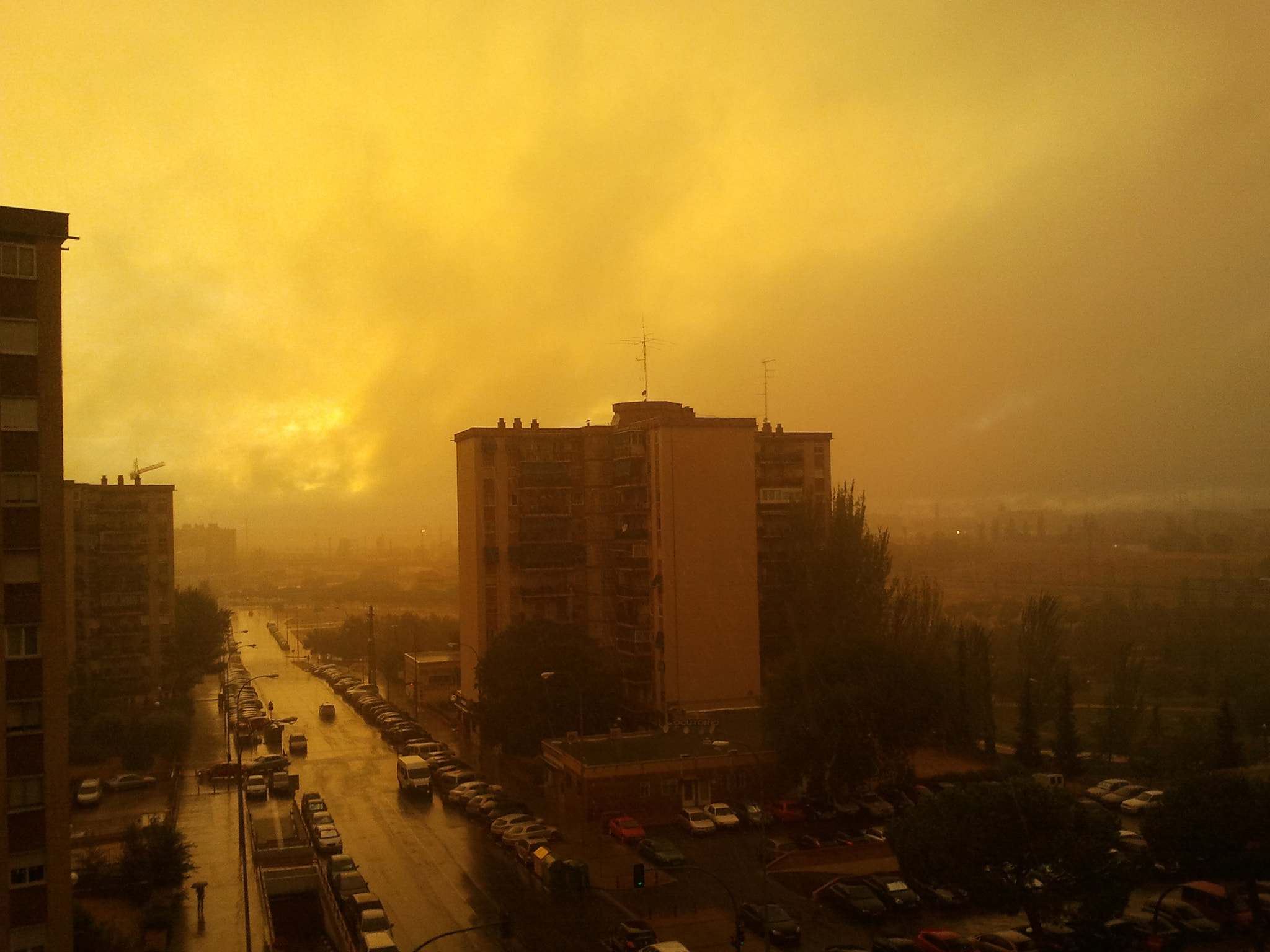 Samsung Galaxy S sample photo