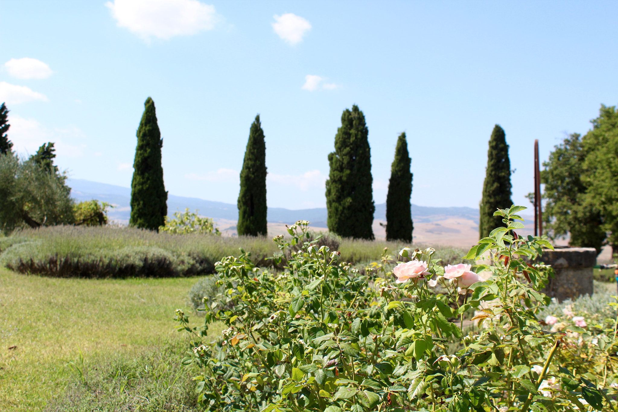 Canon EF-S 18-55mm F3.5-5.6 III sample photo. Val d'orcia photography