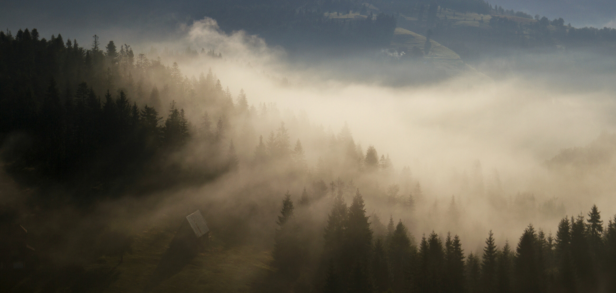 Canon EOS 7D + Canon EF 16-35mm F4L IS USM sample photo. Magic mist photography