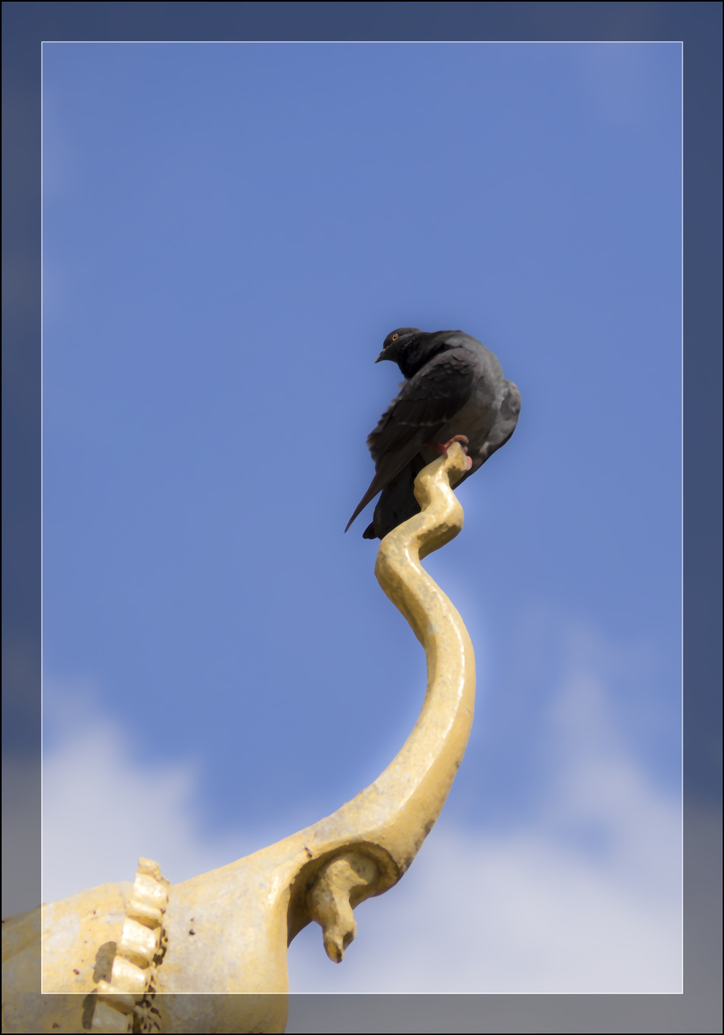 Panasonic Lumix G Vario 45-200mm F4-5.6 OIS sample photo. Olympus digital camera photography