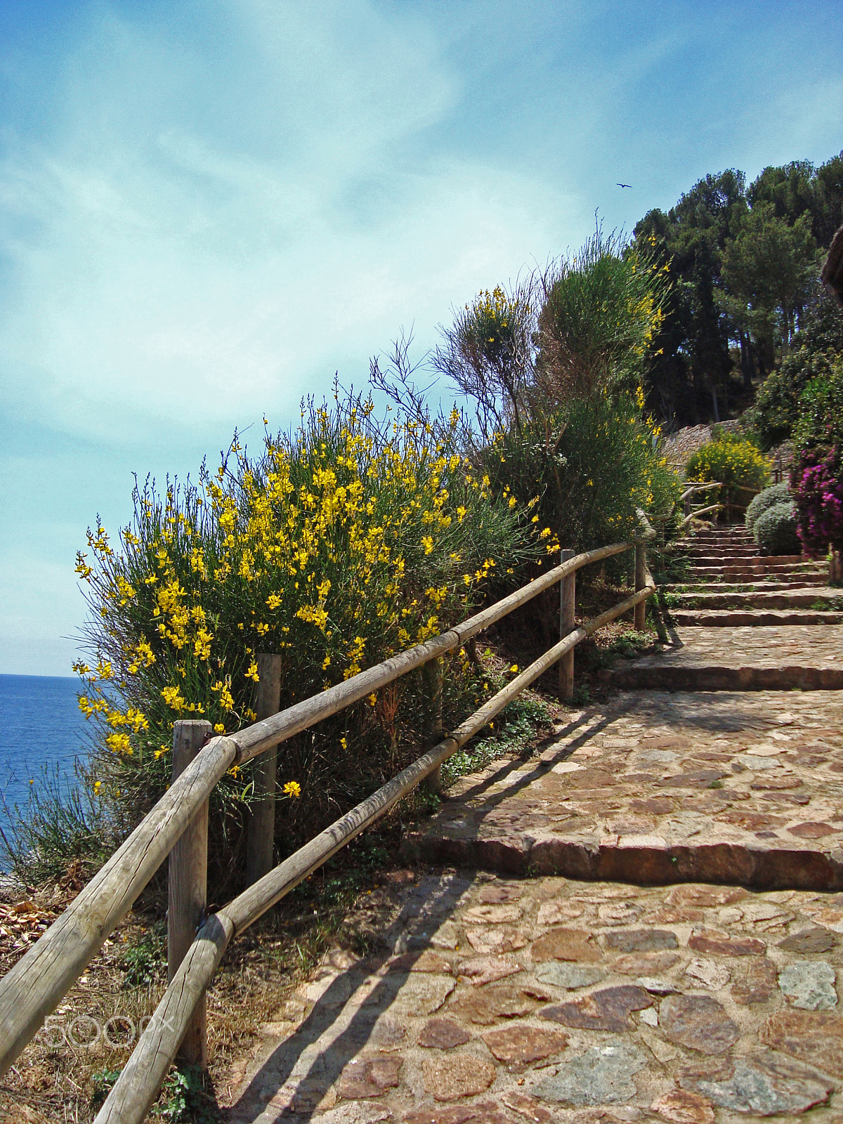 Sony Cyber-shot DSC-W110 sample photo. The pathway along the sea photography