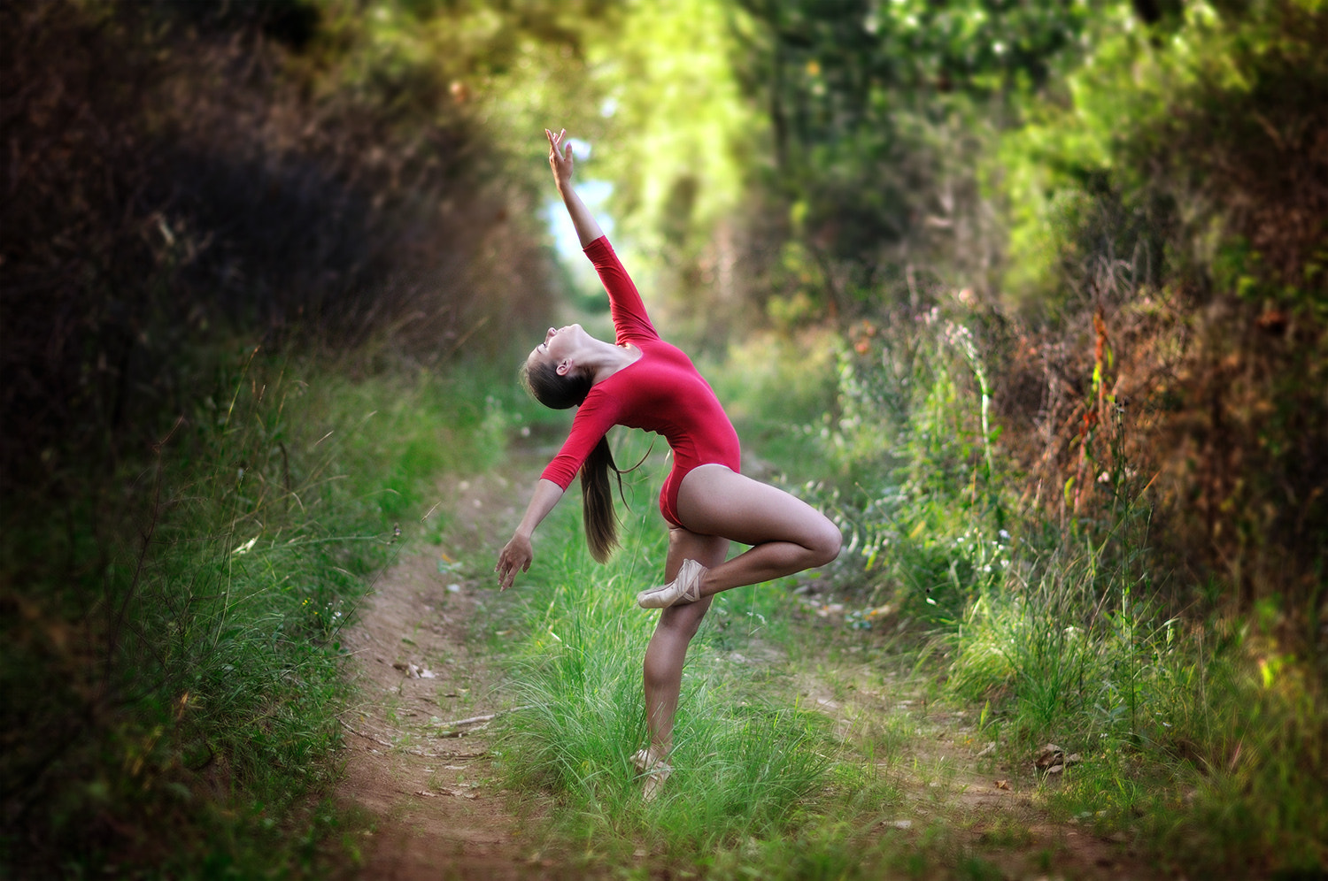 Nikon D300S + Nikon AF-S Nikkor 85mm F1.8G sample photo. Ballerina photography