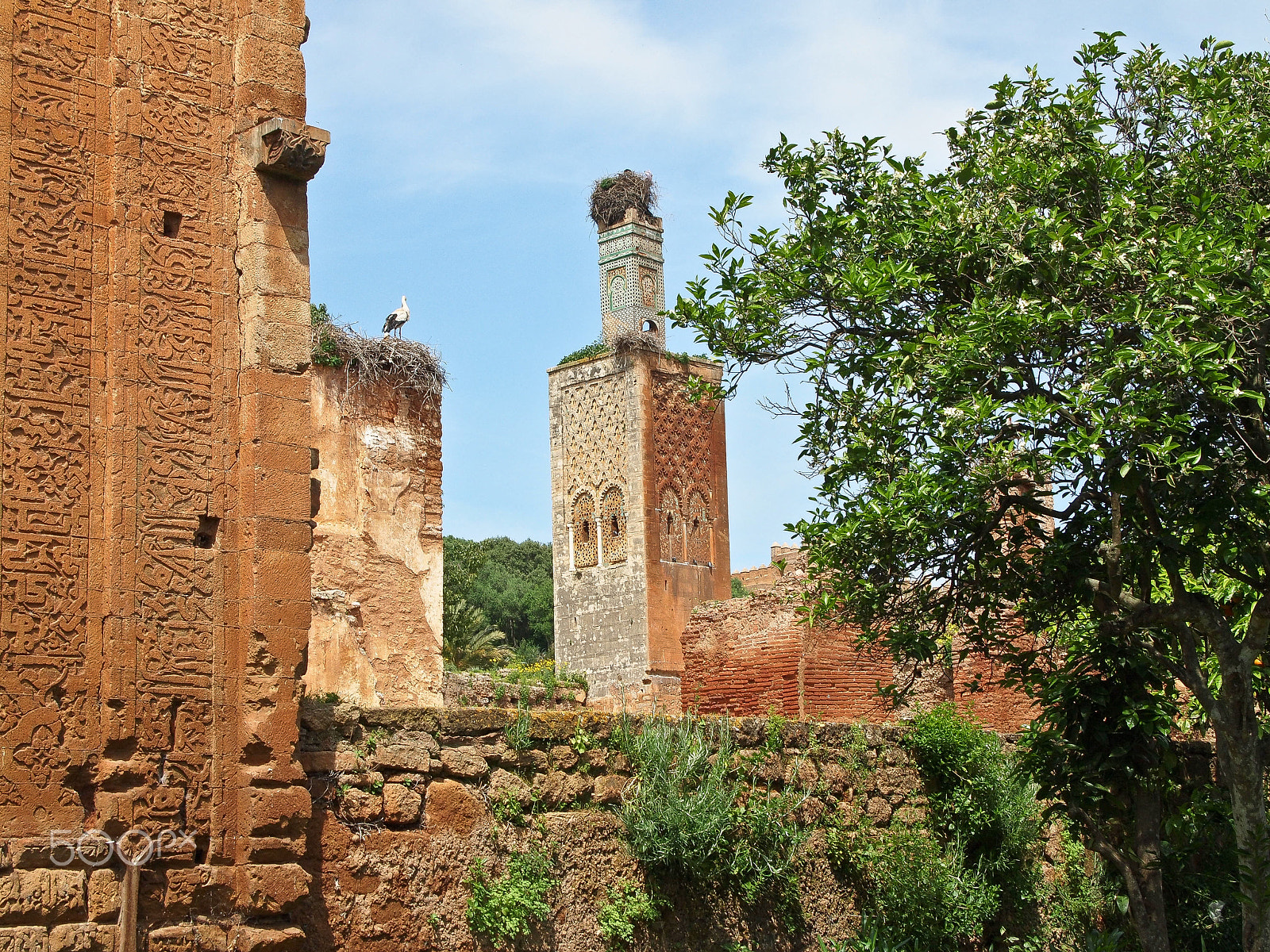 Olympus PEN E-P1 sample photo. Medieval morocco photography