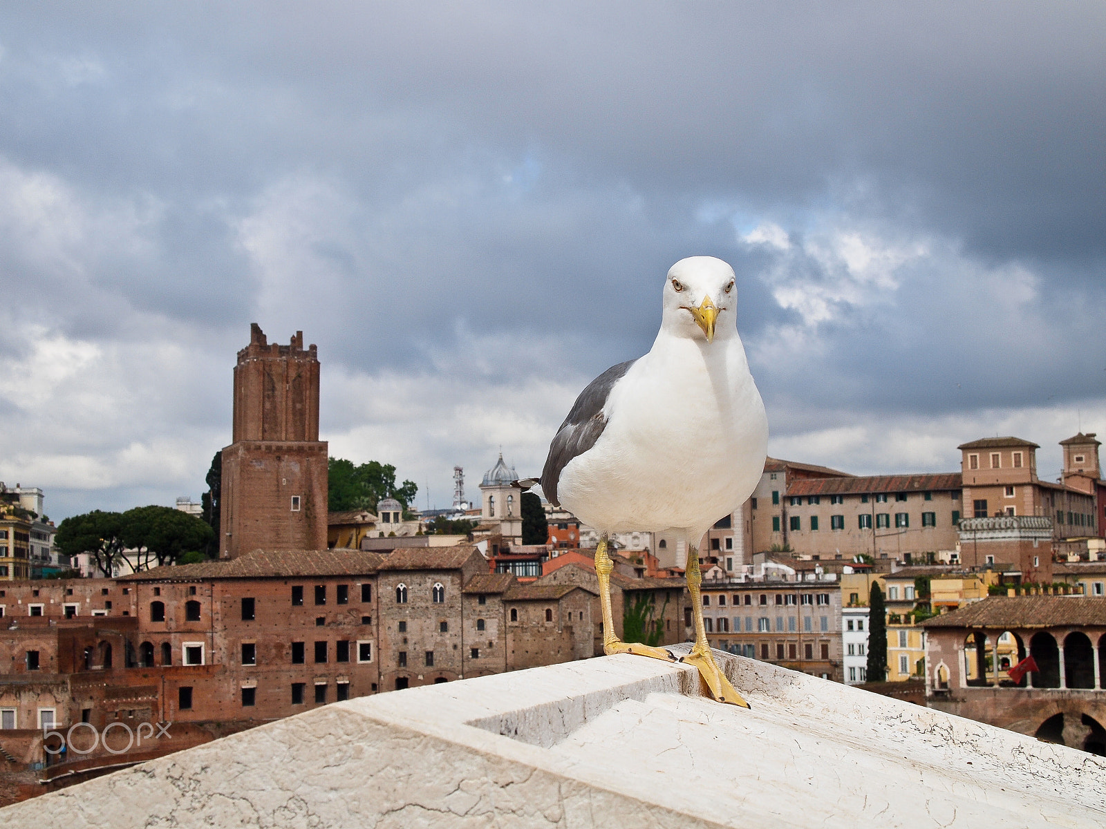 Olympus PEN E-P1 sample photo. Impression from rome photography