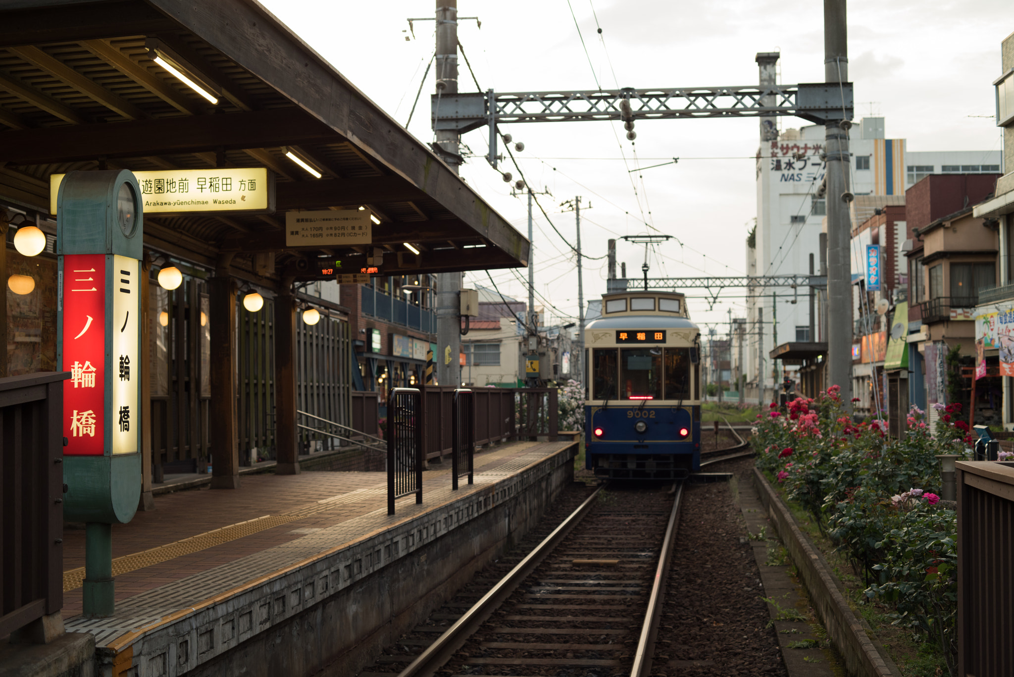 ZEISS Makro-Planar T* 50mm F2 sample photo. _d812382.jpg photography