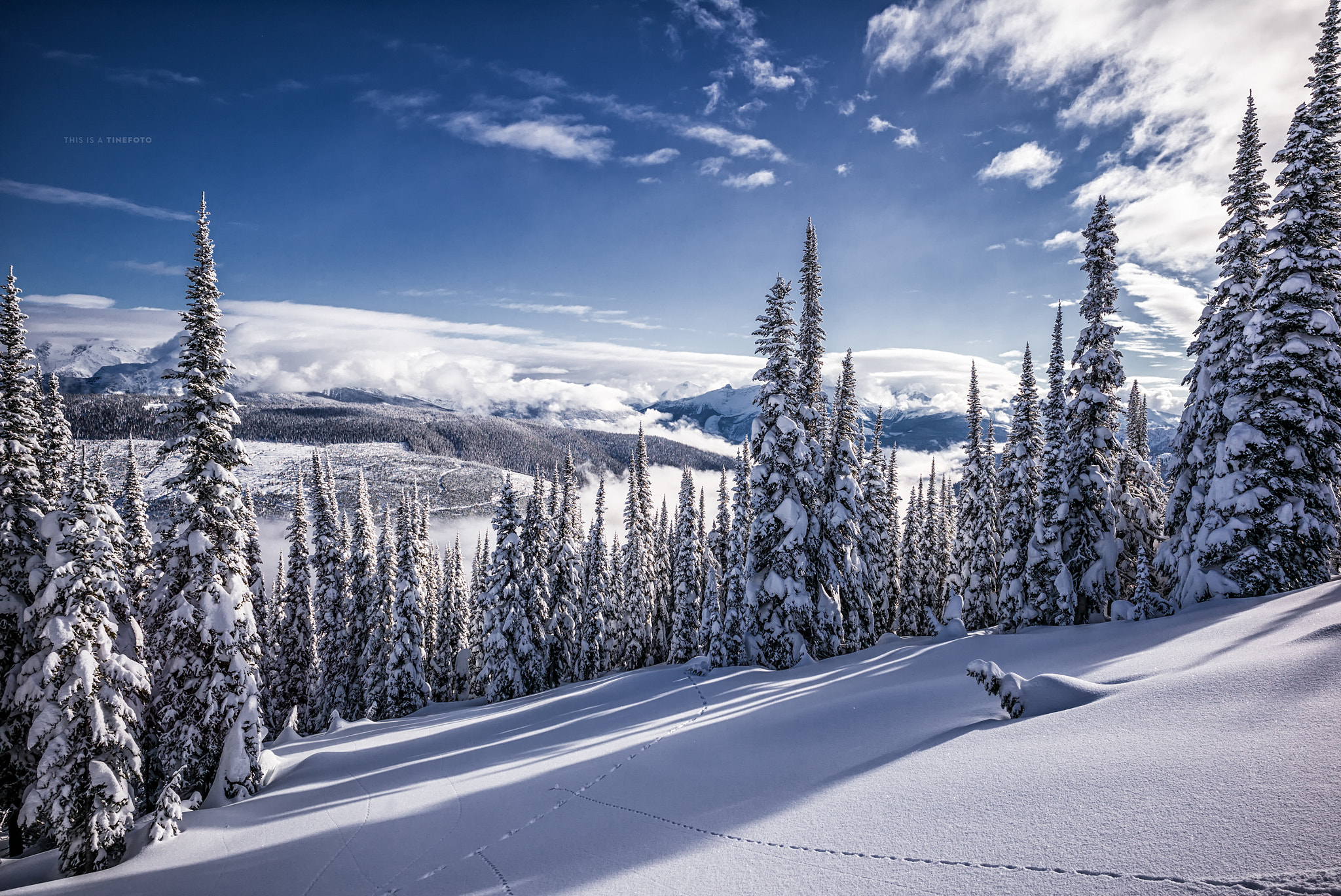 Leica Super-Elmar-M 18mm F3.8 ASPH sample photo. On my very first heliskiing trip to canada.... this was my very first line! photography