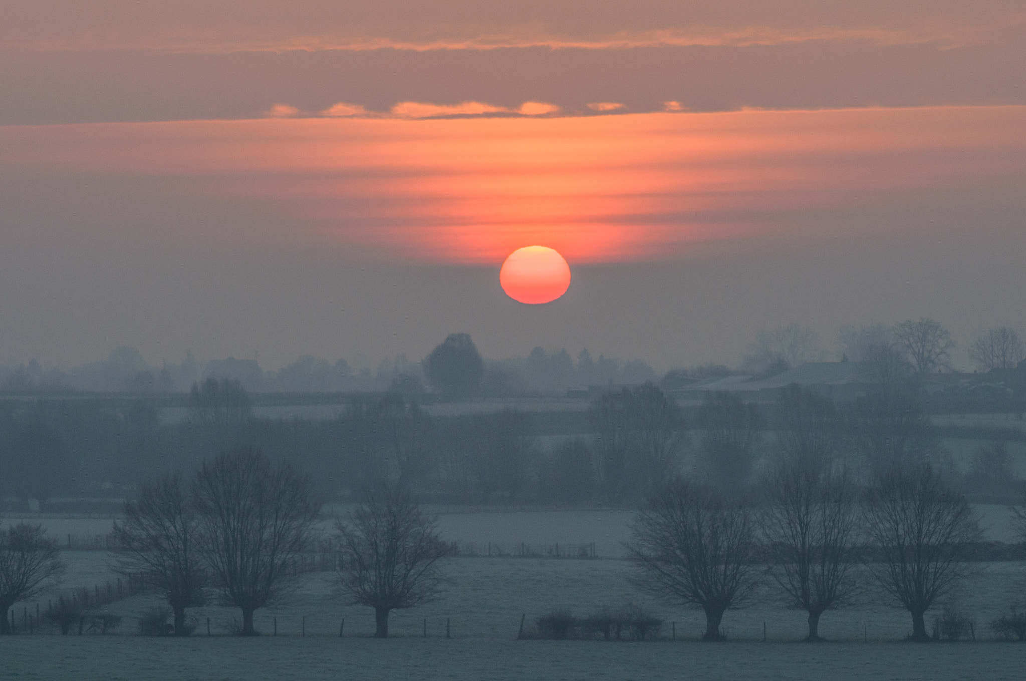 Nikon D5000 sample photo. Old misty sun photography