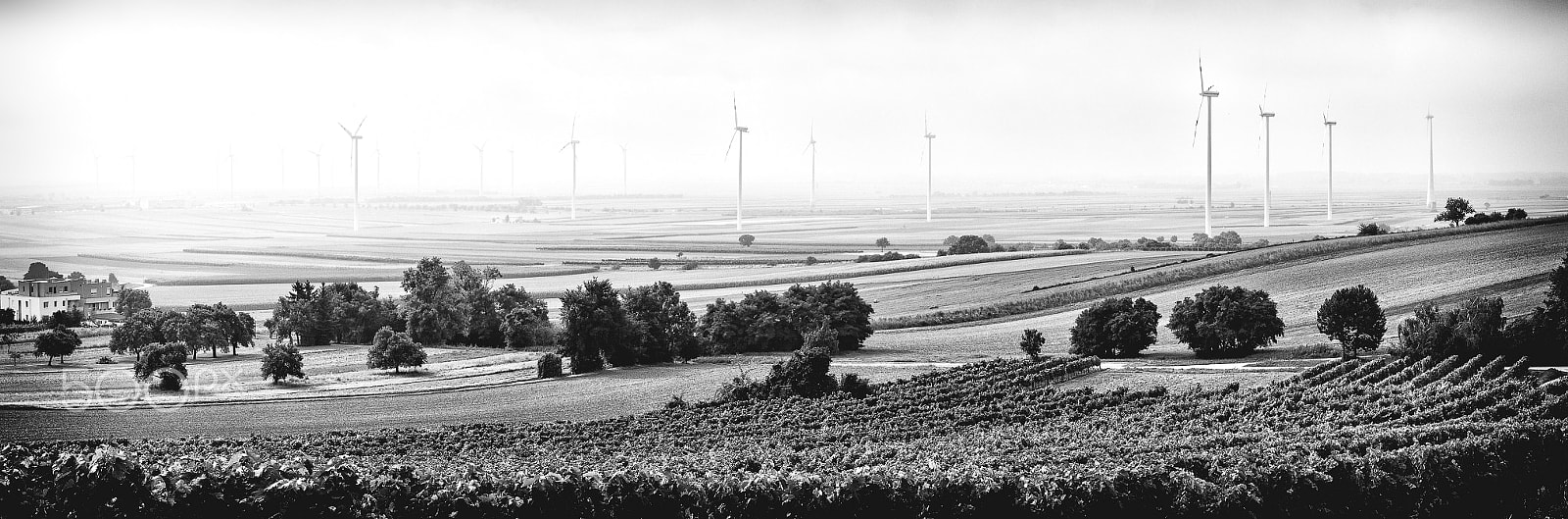 Tamron SP AF 17-50mm F2.8 XR Di II LD Aspherical (IF) sample photo. Windmill in the fog photography