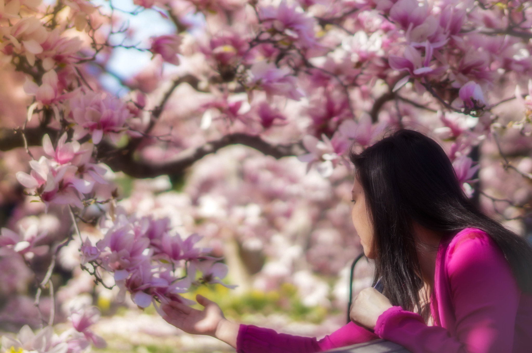 Sony SLT-A58 + Sony Planar T* 50mm F1.4 ZA SSM sample photo. Lady in pink photography