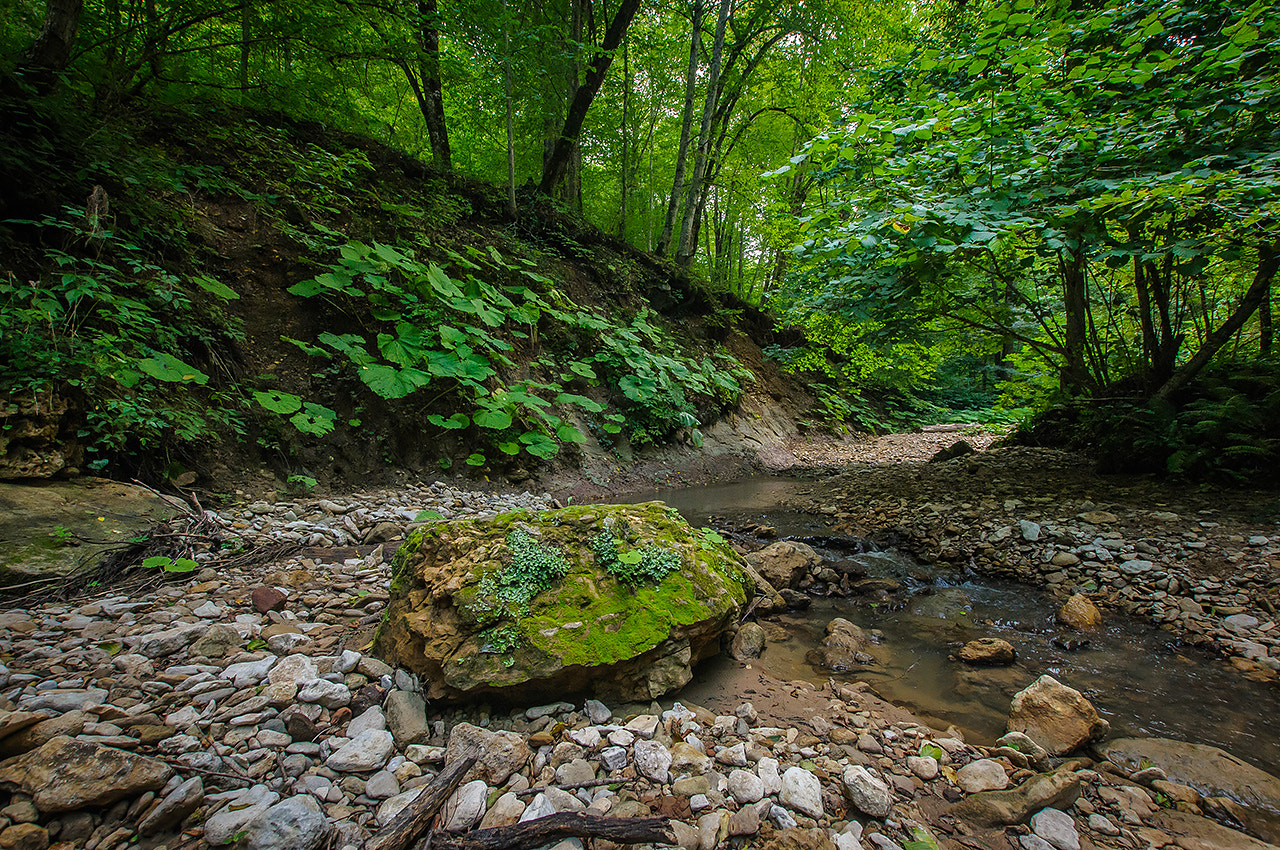 Nikon D300 + Sigma 10-20mm F3.5 EX DC HSM sample photo. Река Аминовка (the river aminovka) photography