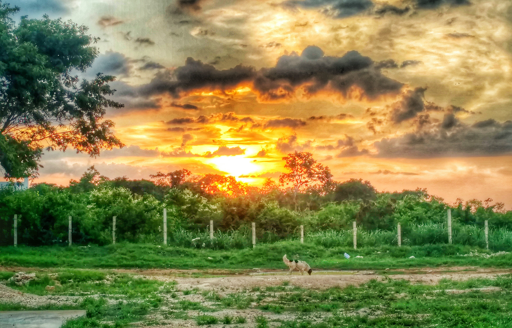 Motorola Moto X Force sample photo. Untitled photography