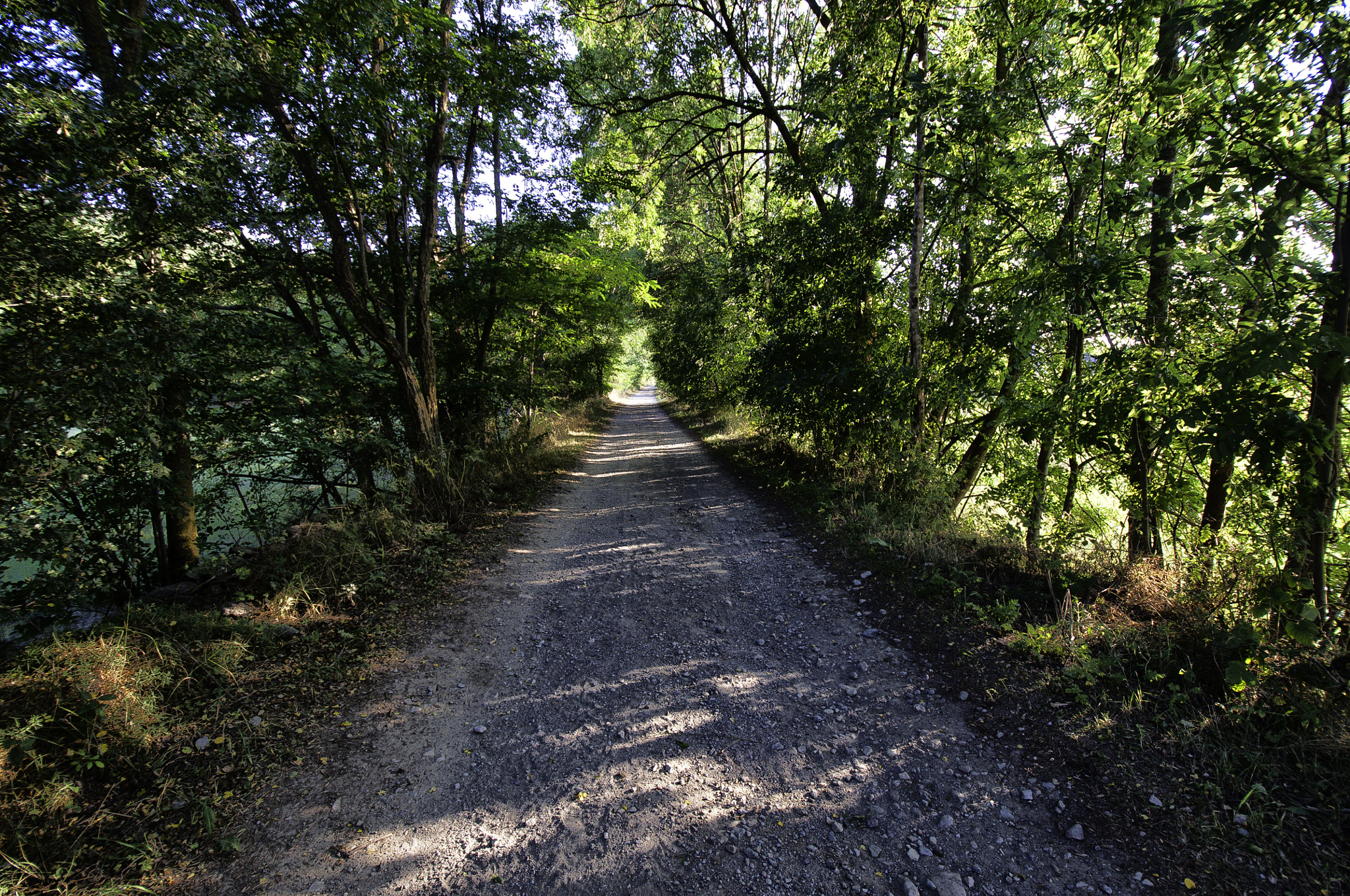 Nikon D5000 sample photo. Camino photography
