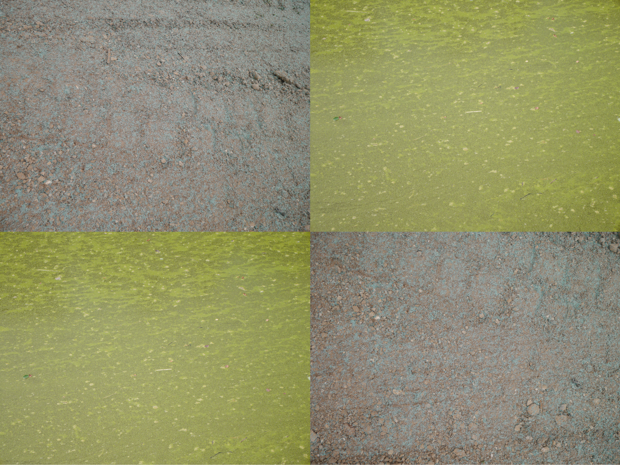 Panasonic Lumix DMC-GF6 sample photo. Gravel and moss b photography