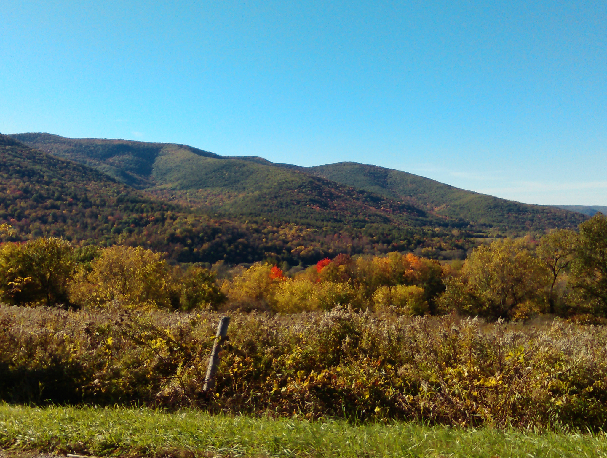 HTC DESIRE 610 sample photo. Colorful autumn in western massachussetts photography