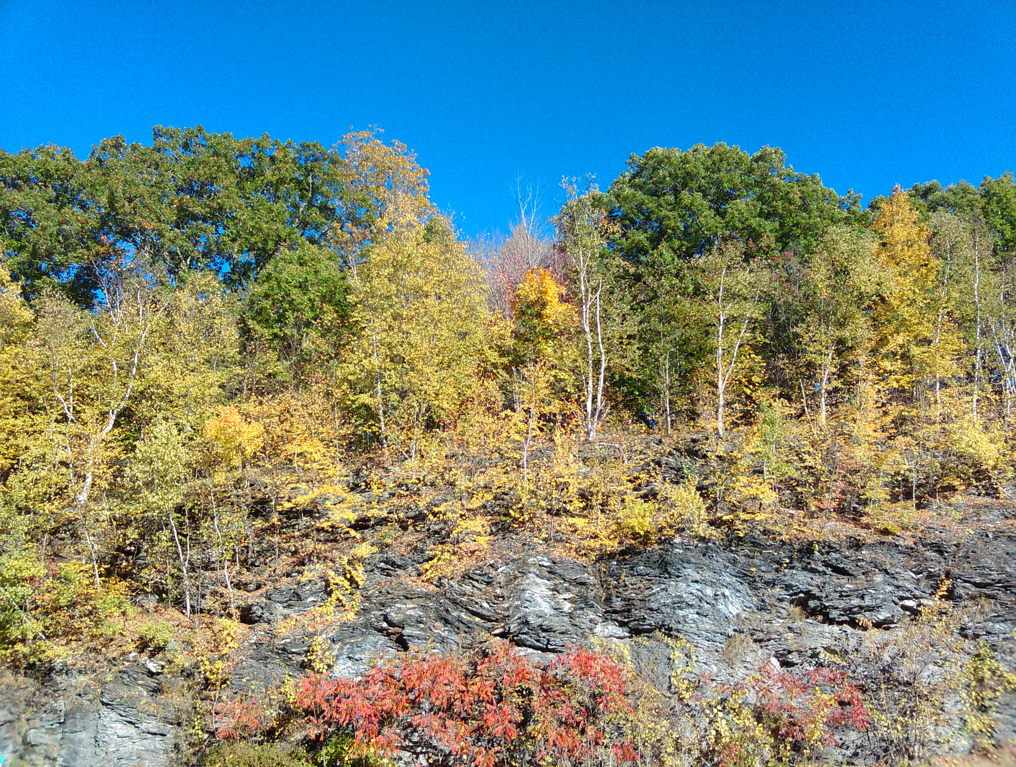 HTC DESIRE 610 sample photo. Colorful autumn in western massachussetts photography