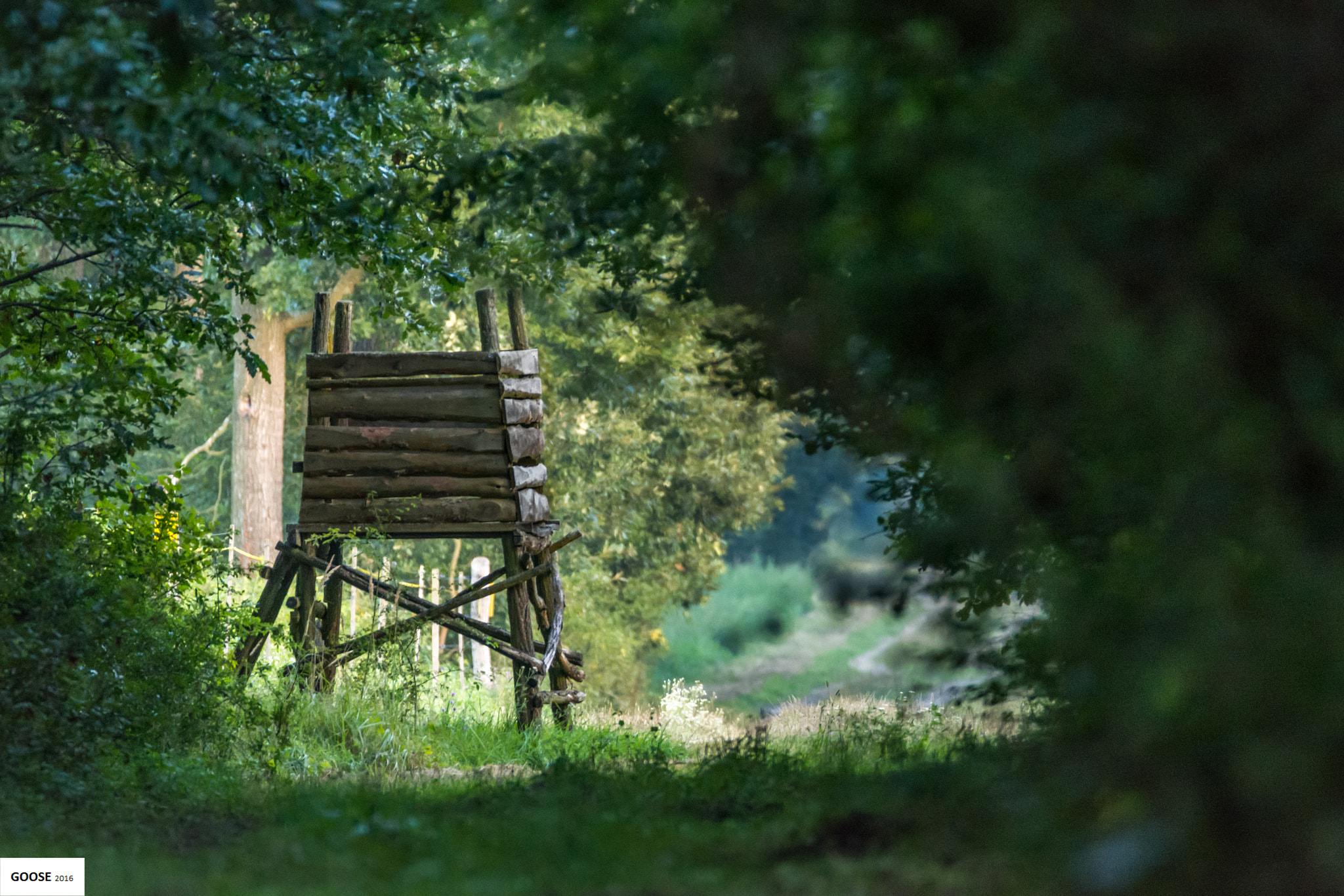 Sigma 150-600mm F5-6.3 DG OS HSM | C sample photo. Les photography