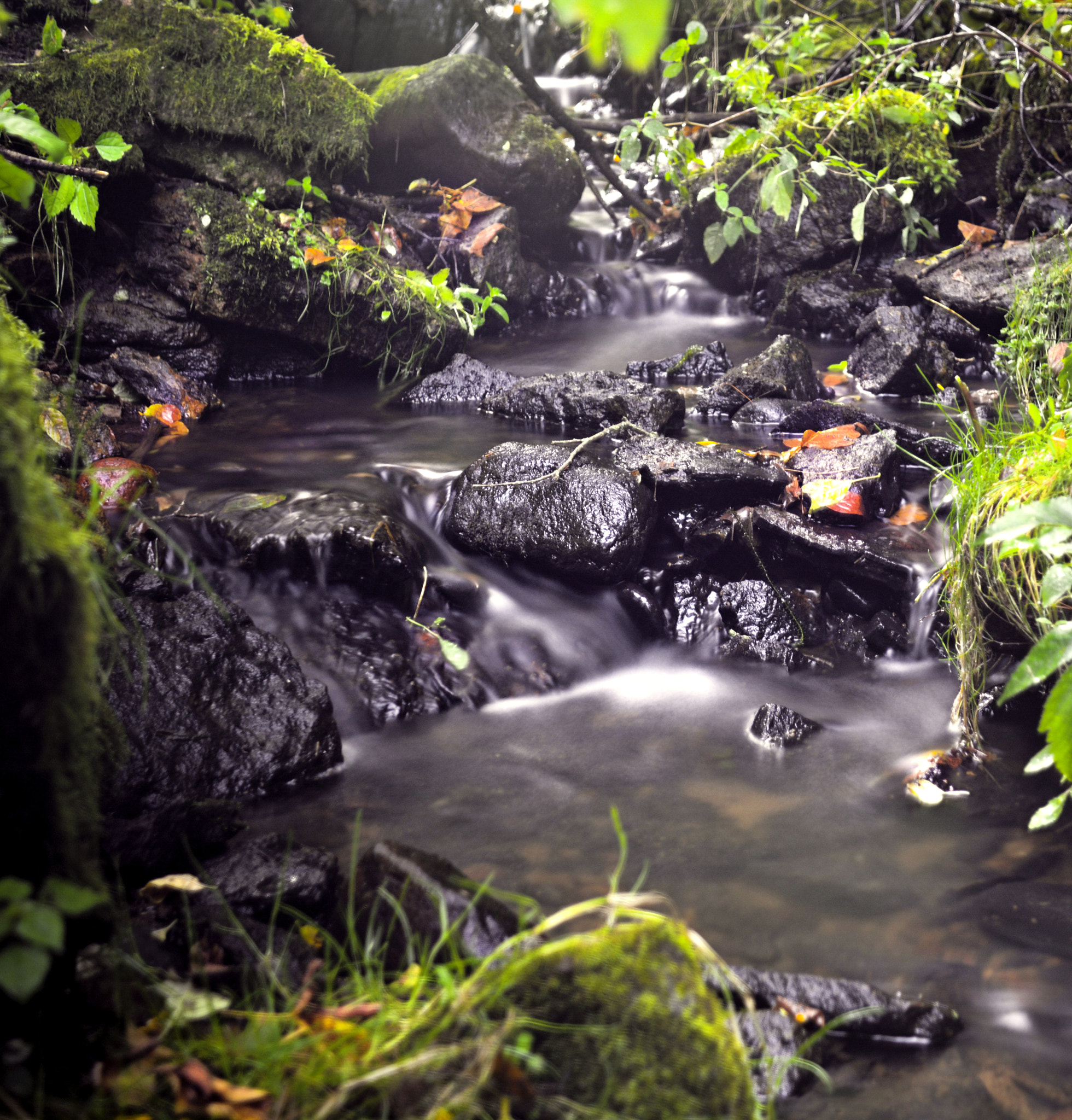 Nikon D5200 + Sigma 18-50mm F2.8-4.5 DC OS HSM sample photo. Fall color & water photography