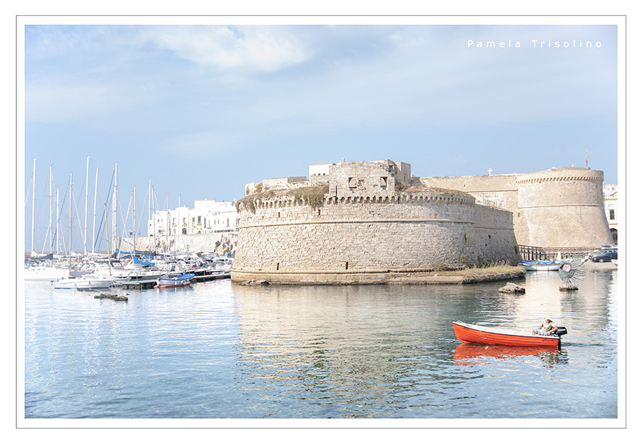 Sigma 17-70mm F2.8-4 DC Macro OS HSM | C sample photo. Gallipoli photography
