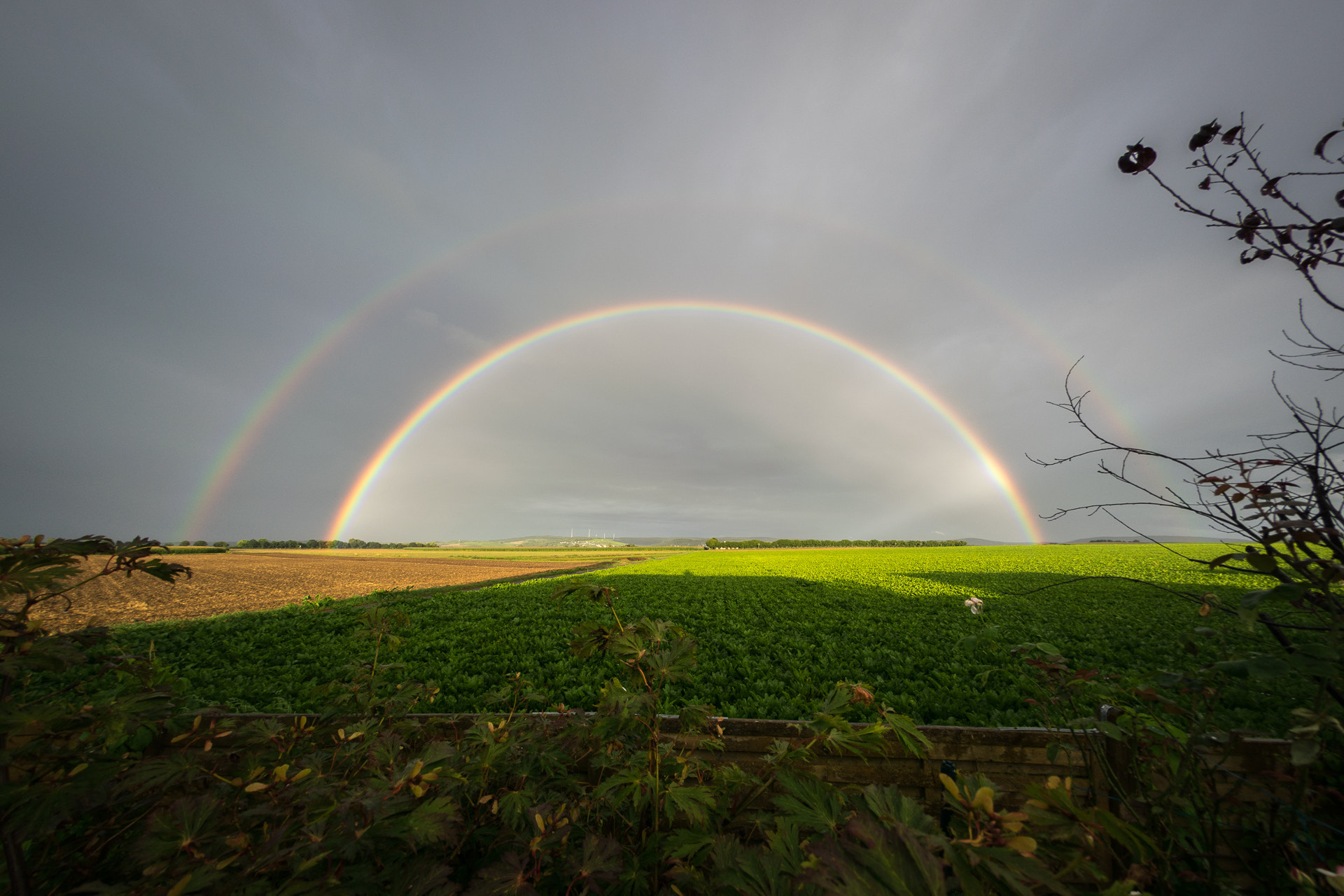 Nikon D5300 + Samyang 8mm F3.5 Aspherical IF MC Fisheye sample photo. Thomas wetterer voller regenbogen photography