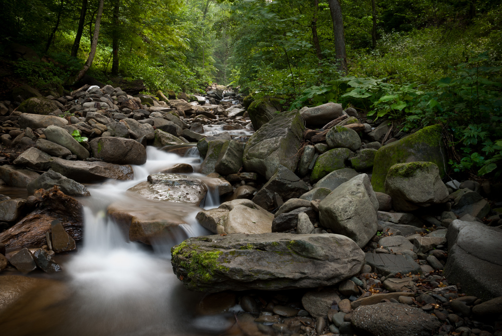 Nikon D60 sample photo. Water through the rocks photography