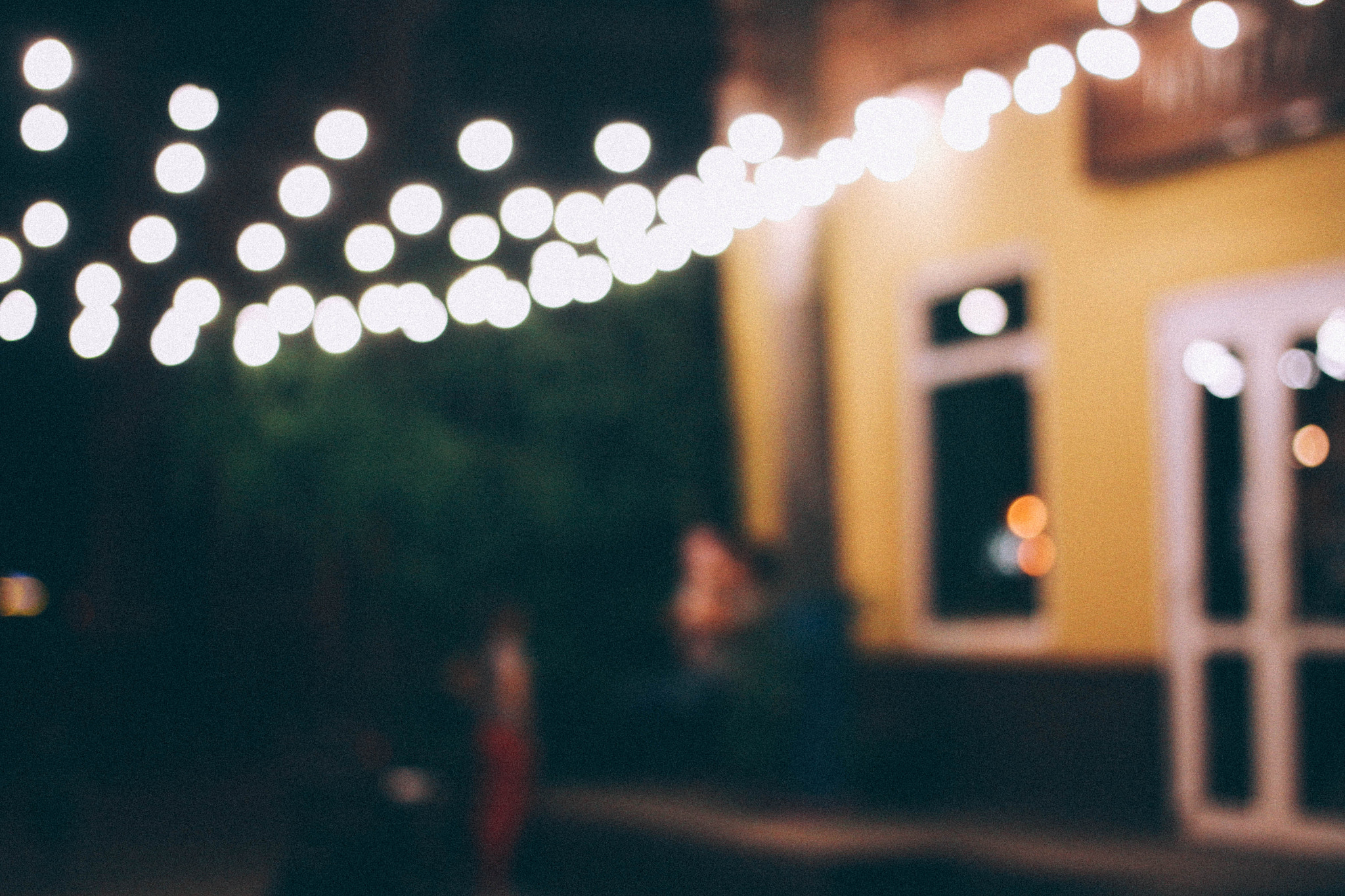 Canon EOS 50D + Canon EF 40mm F2.8 STM sample photo. Rosemary photography