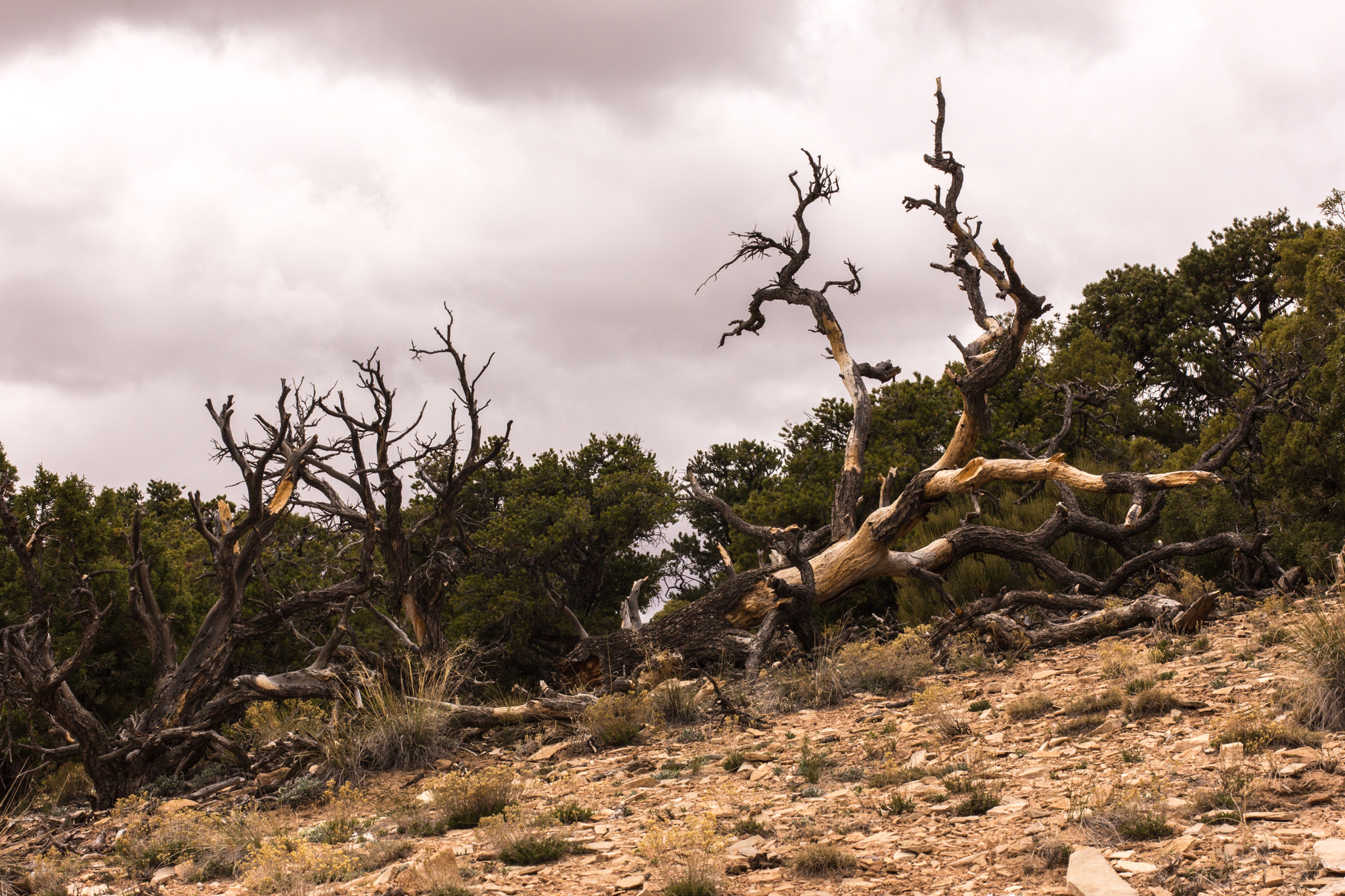 Canon EOS 1200D (EOS Rebel T5 / EOS Kiss X70 / EOS Hi) sample photo. El diablo, devils canyon ut. photography