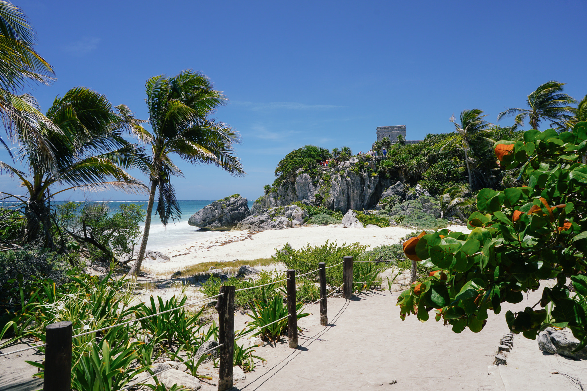 Sony a6300 + Sony E 16mm F2.8 sample photo. Zona archaeologico tulum photography