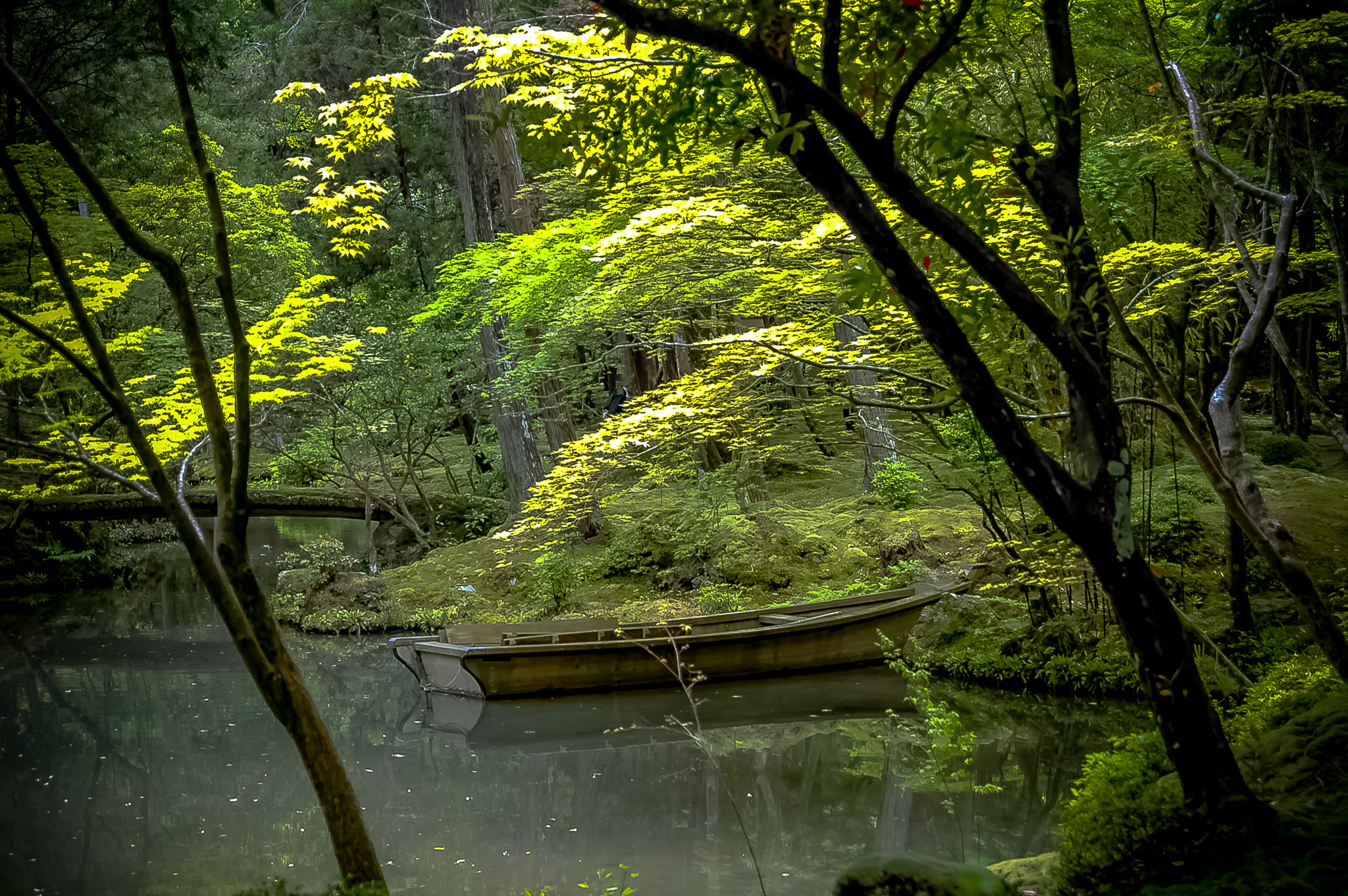 AF Zoom-Nikkor 28-105mm f/3.5-4.5D IF sample photo. Saiho-ji photography