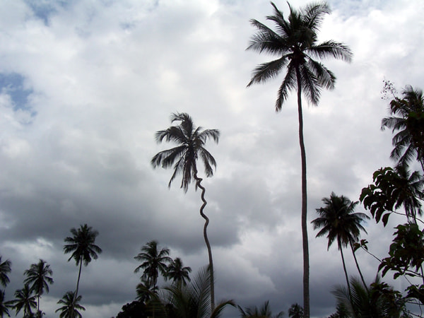 Kodak Z700 ZOOM DIGITAL CAMERA sample photo. Zanzibartree photography