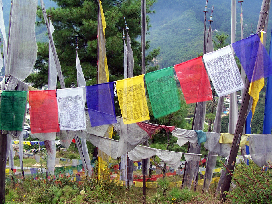 Kodak Z700 ZOOM DIGITAL CAMERA sample photo. Prayerflags photography