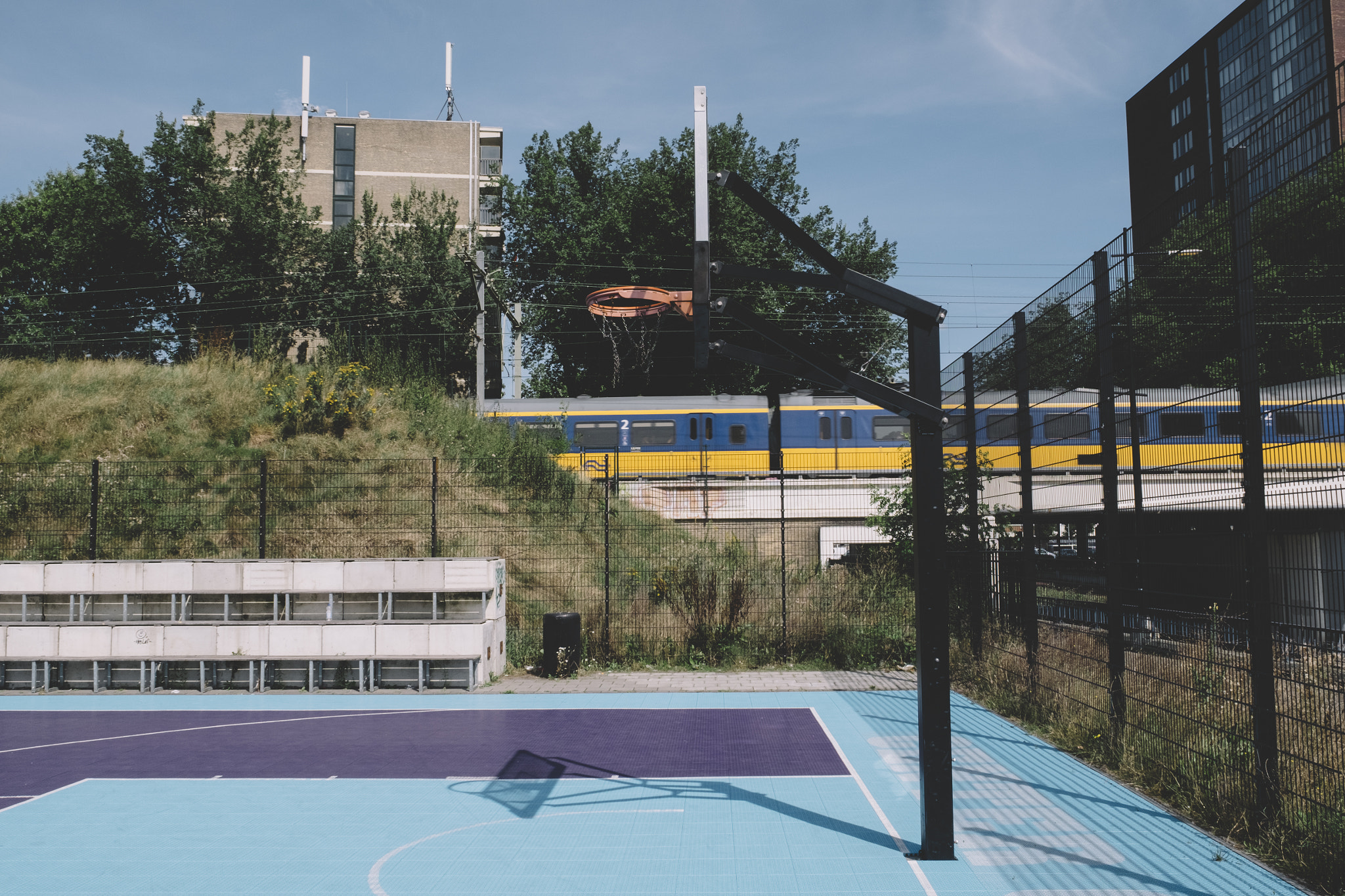 Fujifilm X-T10 + Fujifilm XF 16-55mm F2.8 R LM WR sample photo. Ball is life photography