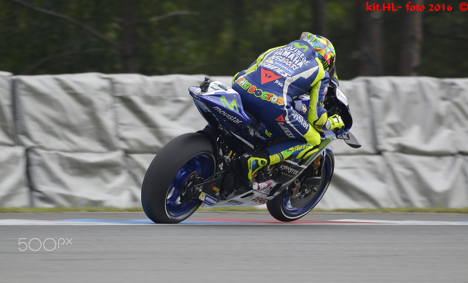 Sigma 150-600mm F5-6.3 DG OS HSM | S sample photo. Vale photography