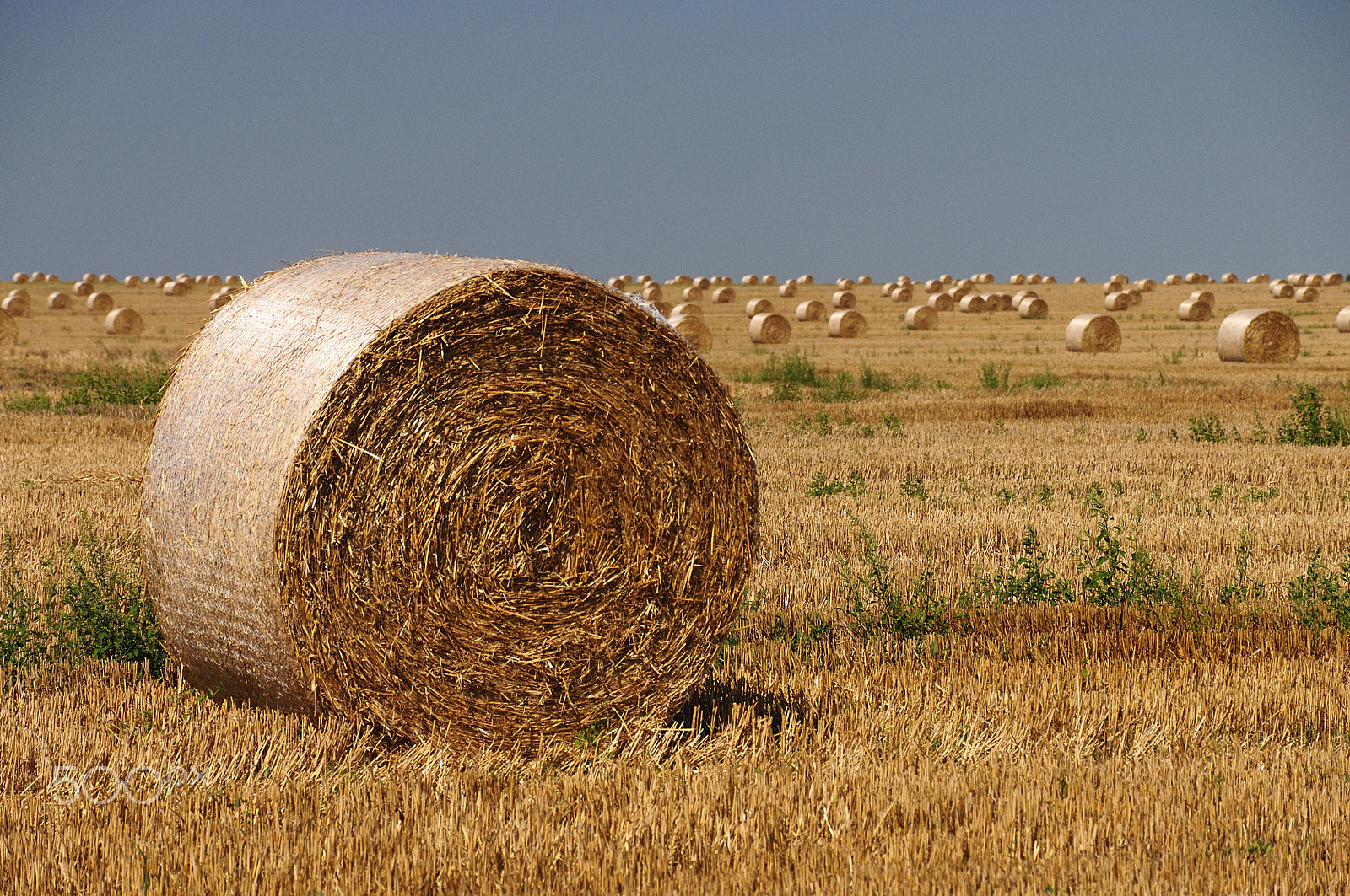 Nikon D5000 sample photo. Rolling in to crop photography