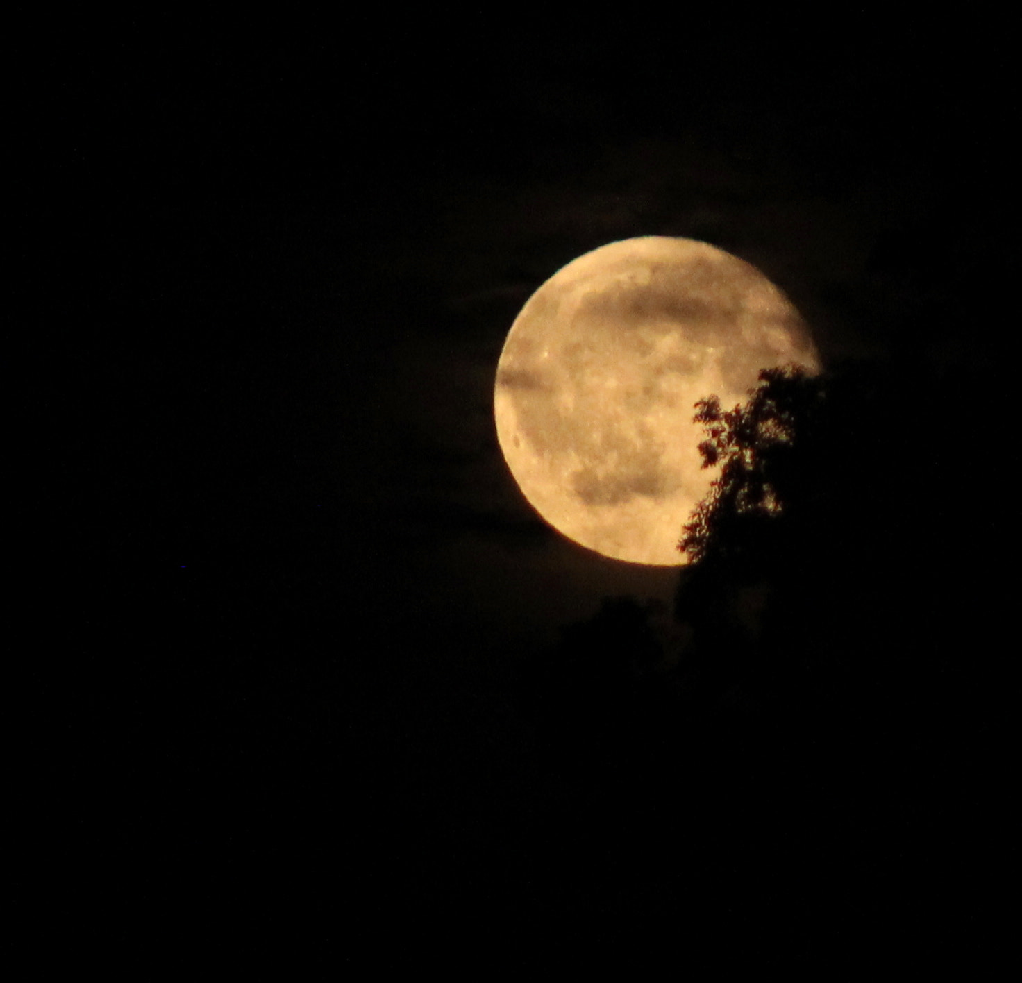 Canon EF 90-300mm F4.5-5.6 sample photo. Full moon photography