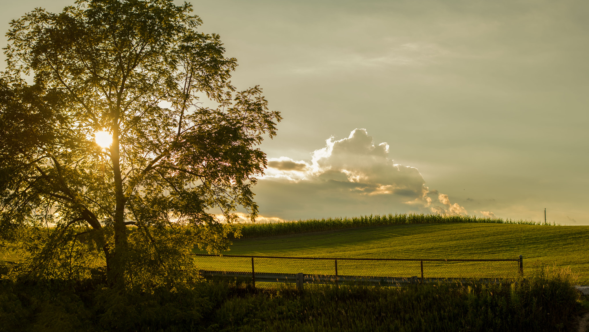 Nikon D810 sample photo. Dundas dusk photography