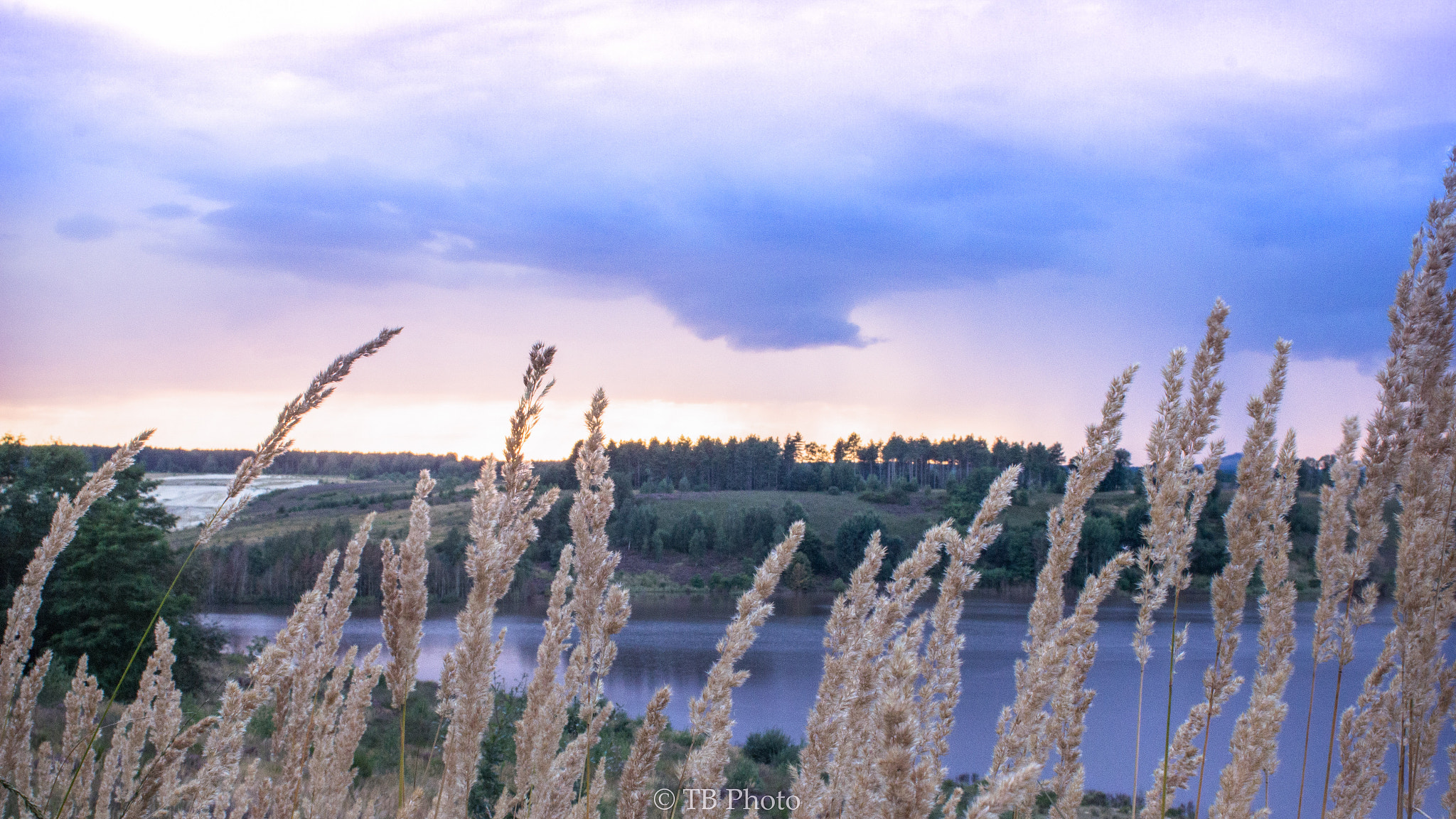 Canon EOS 550D (EOS Rebel T2i / EOS Kiss X4) + Canon EF 28mm F2.8 sample photo. Summerevening... photography